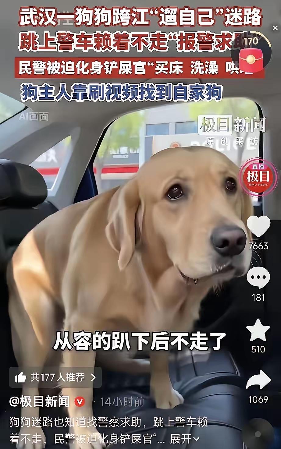这事发生在5月23日。

武汉江堤派出所的民警处置完警情，刚上车准备返程，一只拉