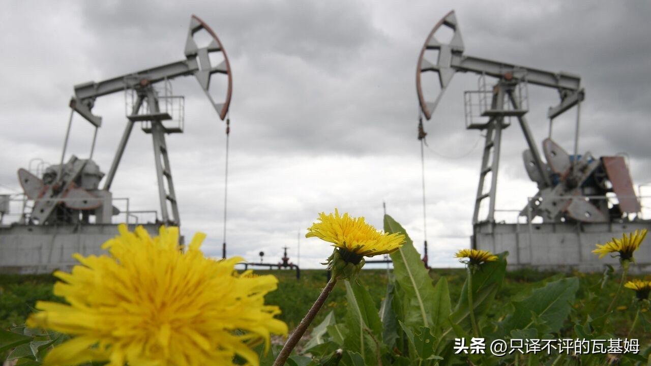 相信国家的战略眼光！俄罗斯决定随时增加对中国和印度的石油供应量！
2026年3月