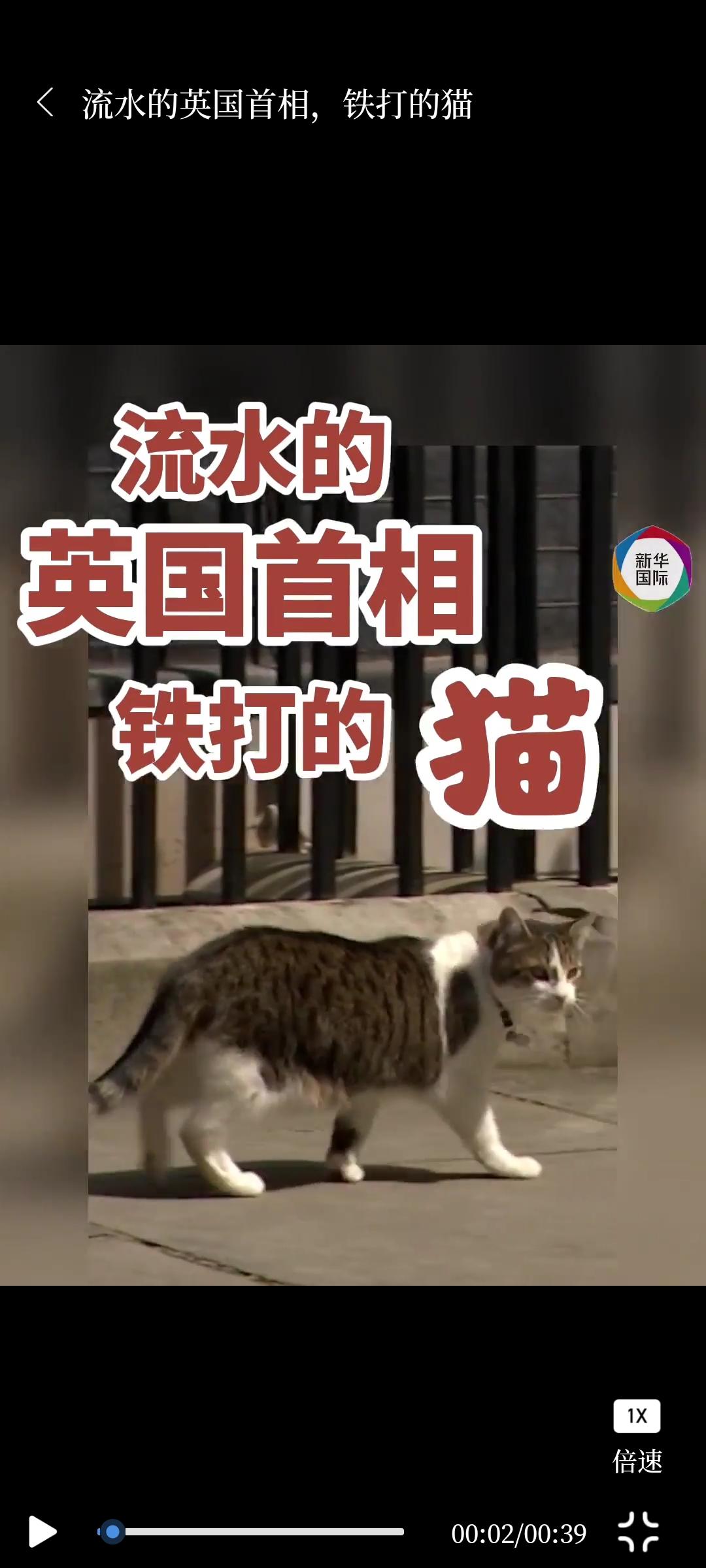 英国首相官邸唐宁街10号，住着一只可爱的小猫，2011年被英国首相收养，起名为拉