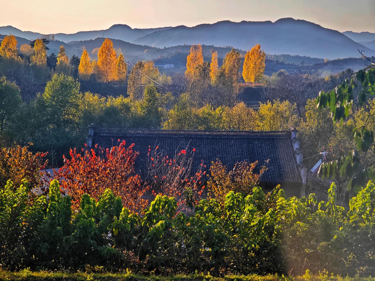 ＃魅力平木  醉美东庄＃＃我用摄影看世界＃