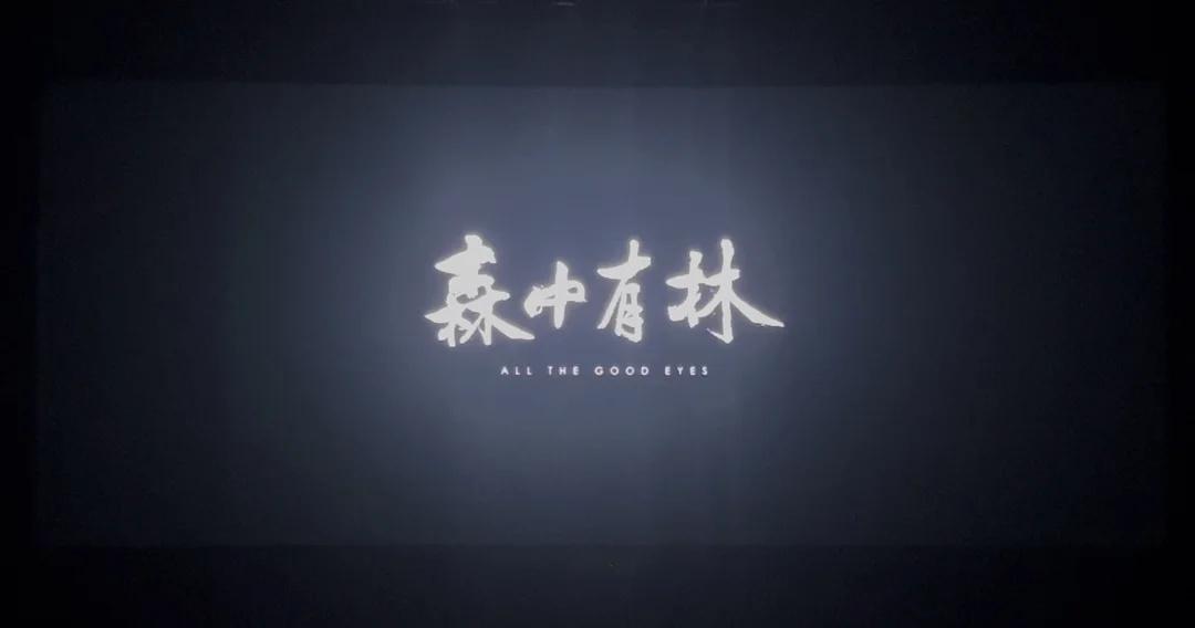 刚看完（森中有林）心情有点沉重
这是我第一次在影院看悬疑片，虽然刚开始是因为光光