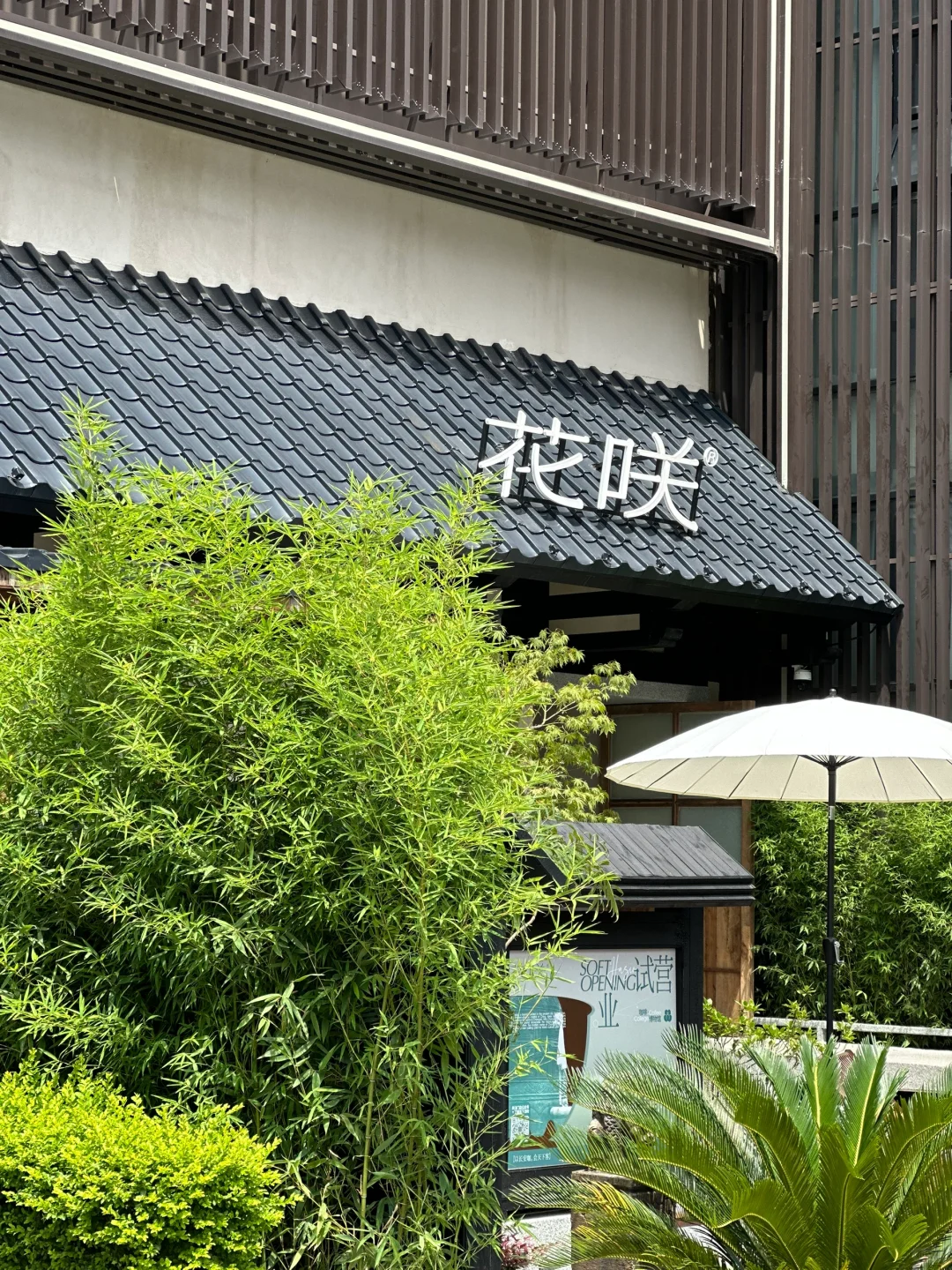 花咲，咖啡界的教培中心