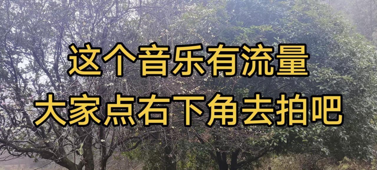 玩法合伙人计划