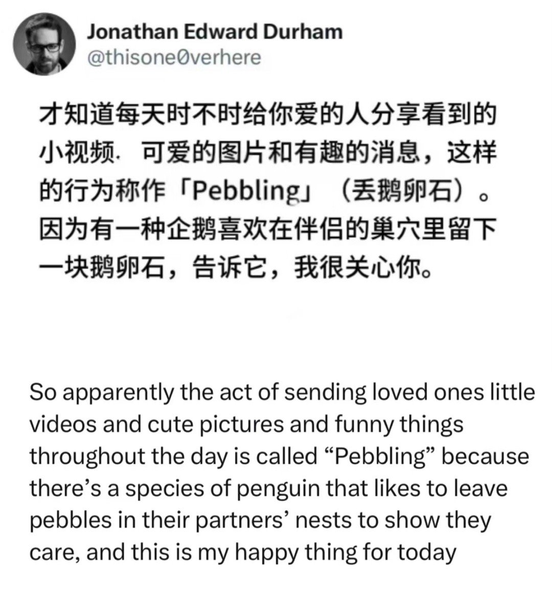 #日常的路人a# 看到一个说法，就是每天发现可爱新鲜的小玩意分享给朋友，就是咱们