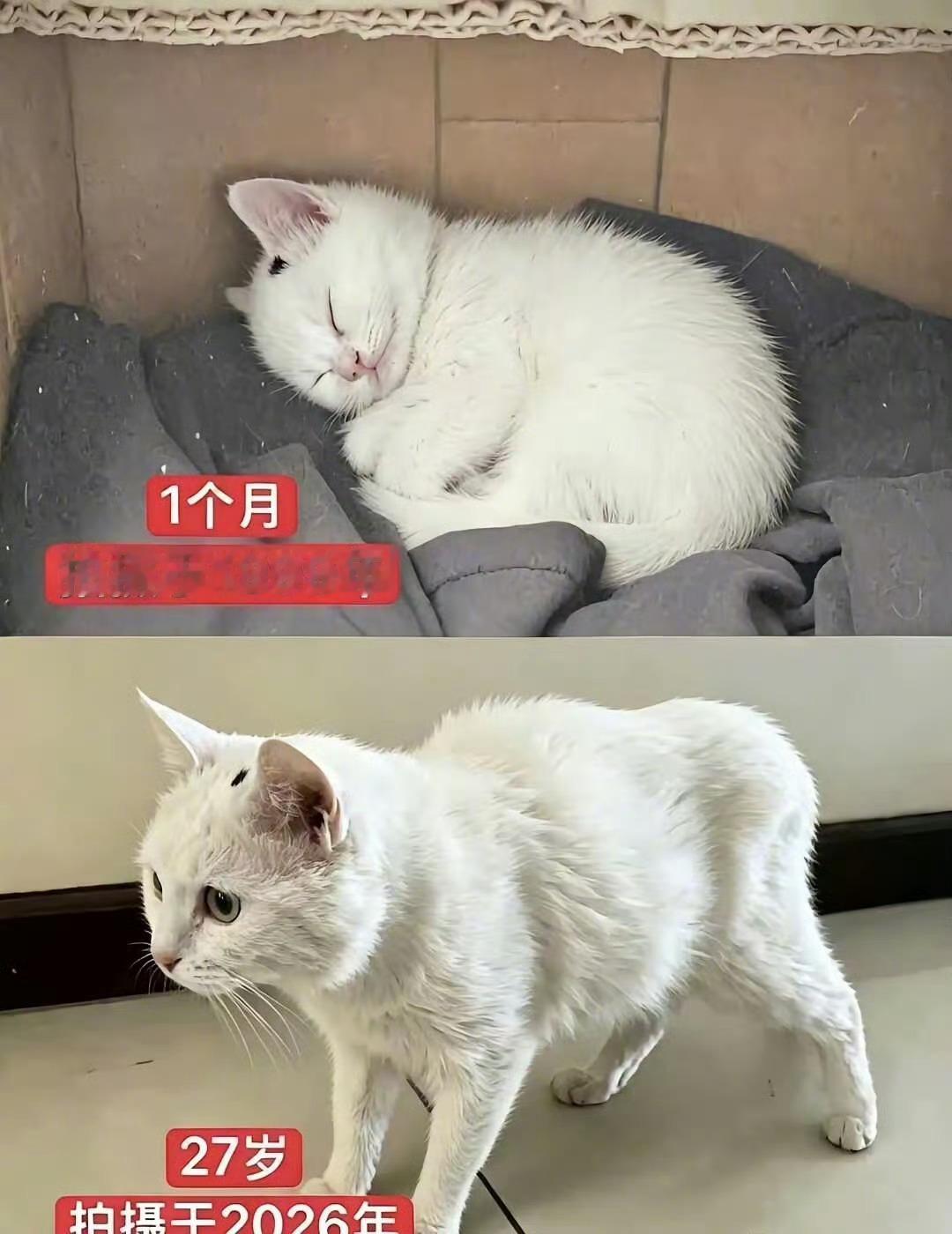人类对时间毫无还手之力 ​​​