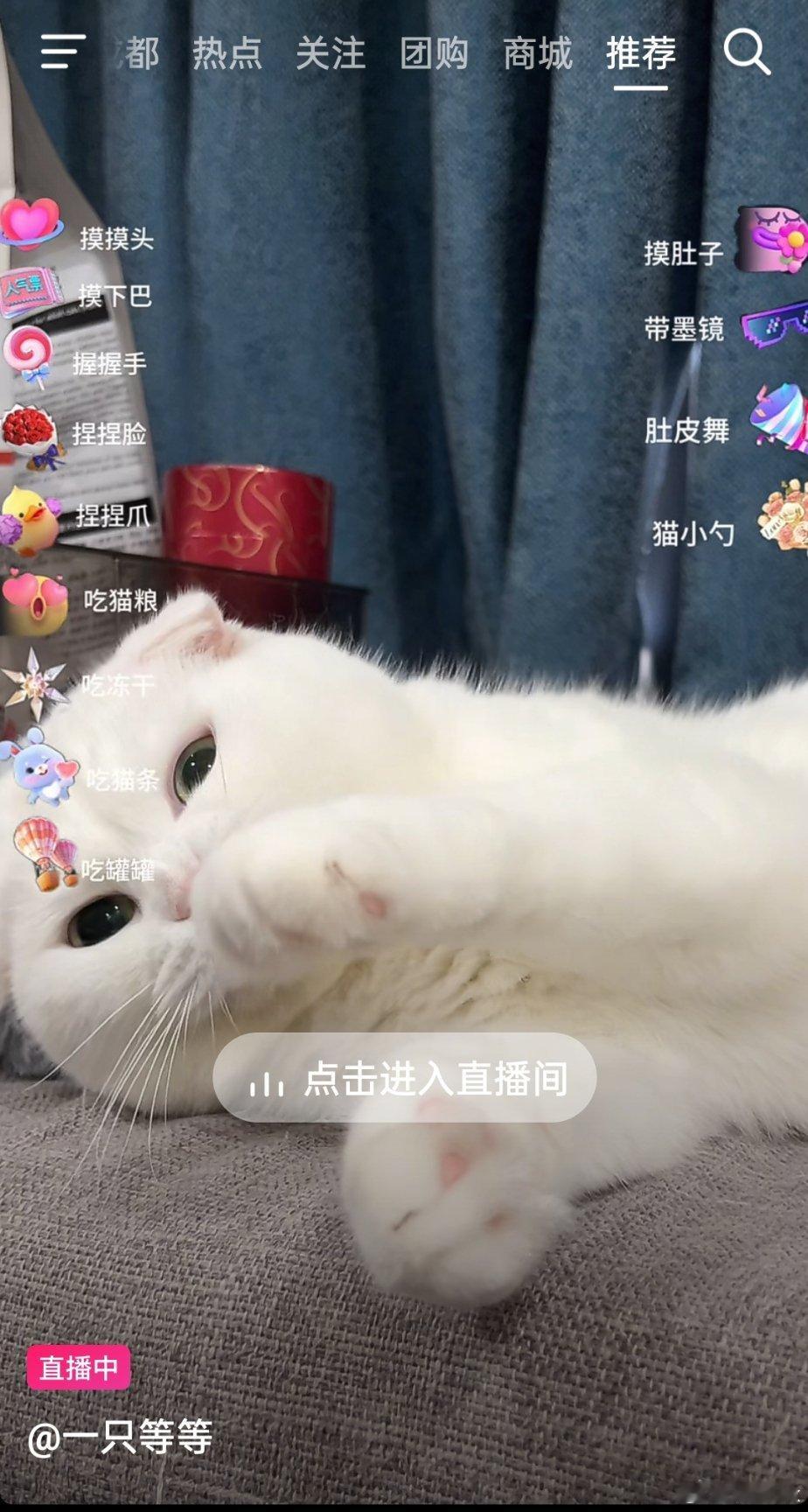 仅用0秒想到网簧直播听命令。。。 