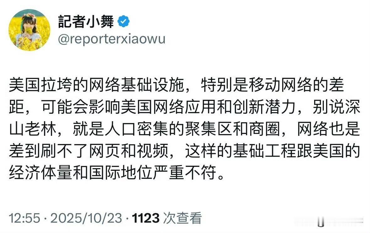 美国的网络这么差吗？连视频和网页都打不开？

你看，连润过去的殖人都受不了了，看