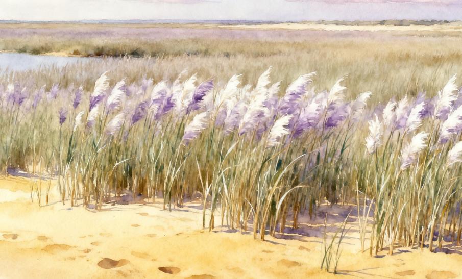 品读《山海经》431——《海外北经》范林
冬日生活打卡季
原文：
范林方三百里，