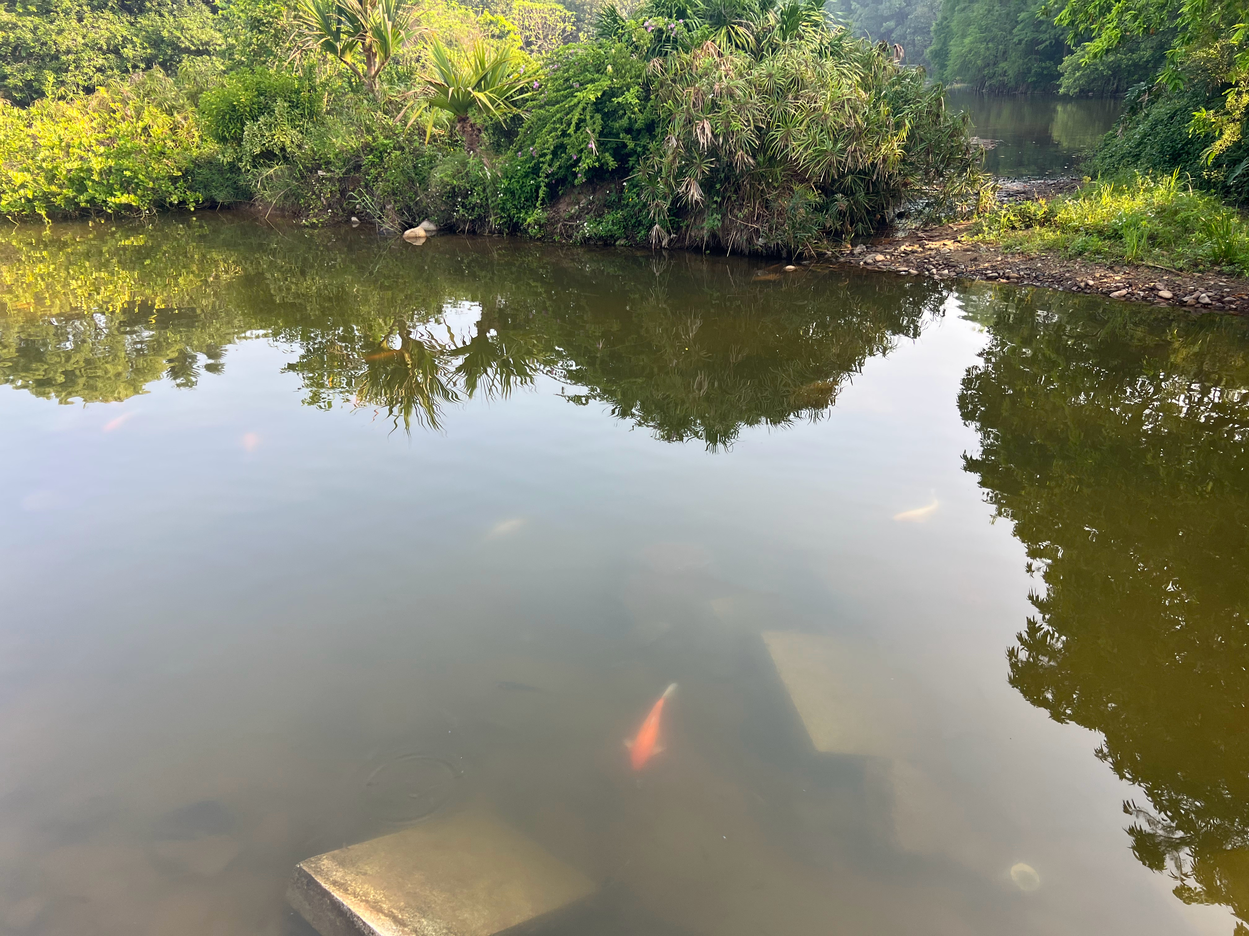 深耕自己，才是最大的远见。在成年人的世界里，从来没有捷径可走。 