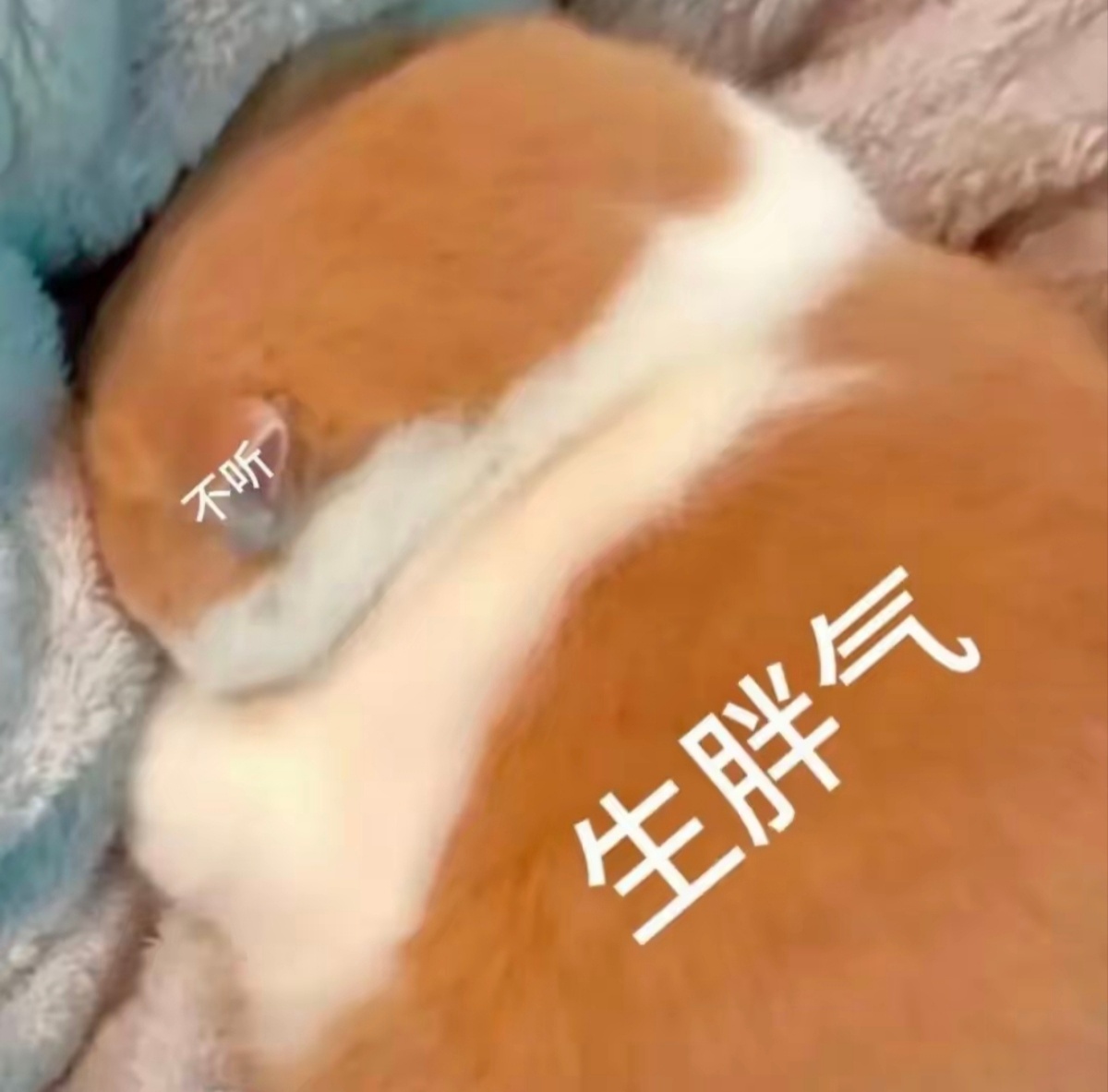 讨厌👎🏻为什么我每次都会刷到只有1的同人[淡淡的]讨厌讨厌讨厌啊啊啊啊 ​​