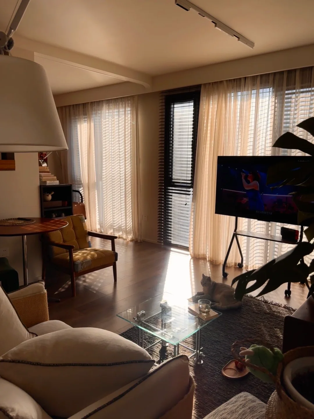 一个人住的幸福感：藏在56㎡的12个角落里📸