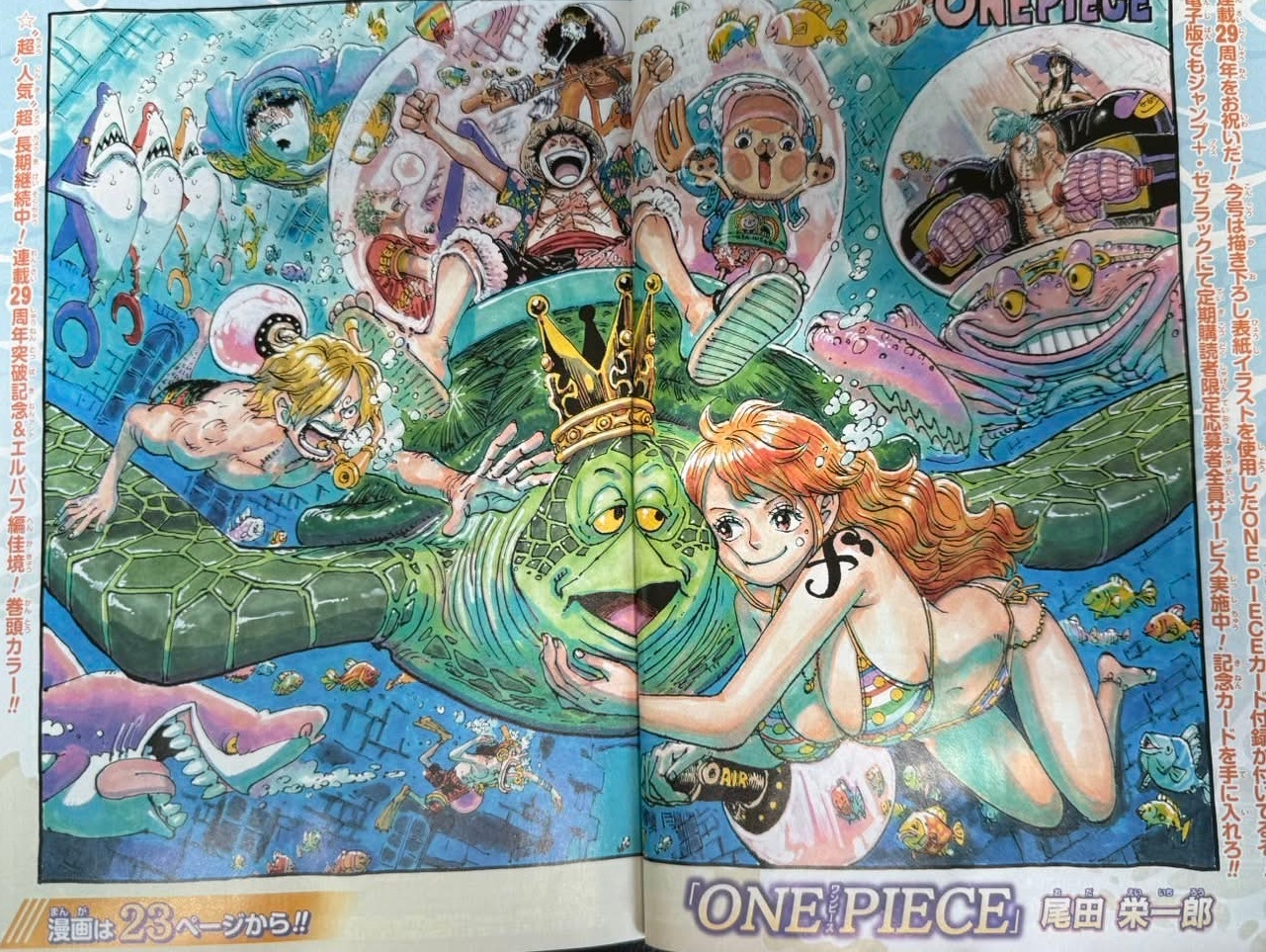 海贼王 完整情报图 
