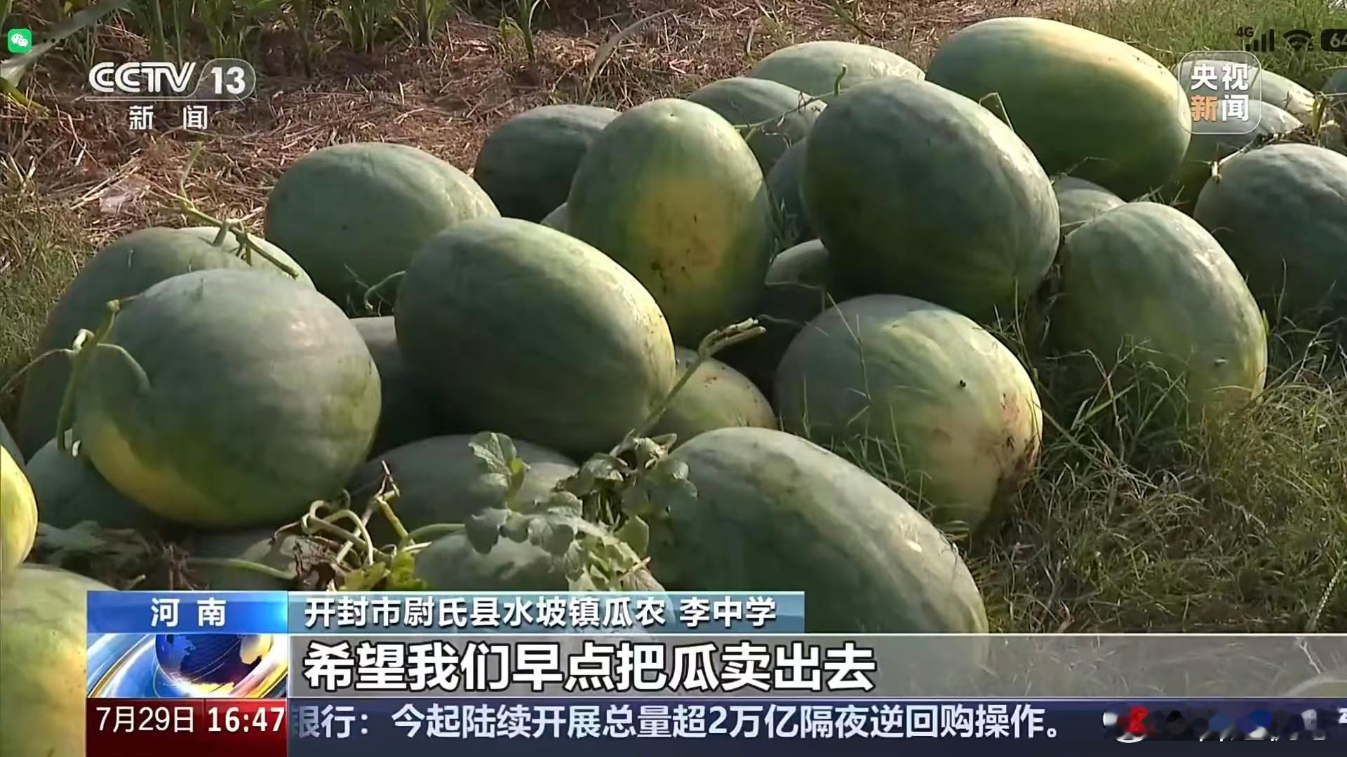今年的河南西瓜滞销一事，在多轮爱心接力下，真真切切让人看到了中国社会的温度。从开