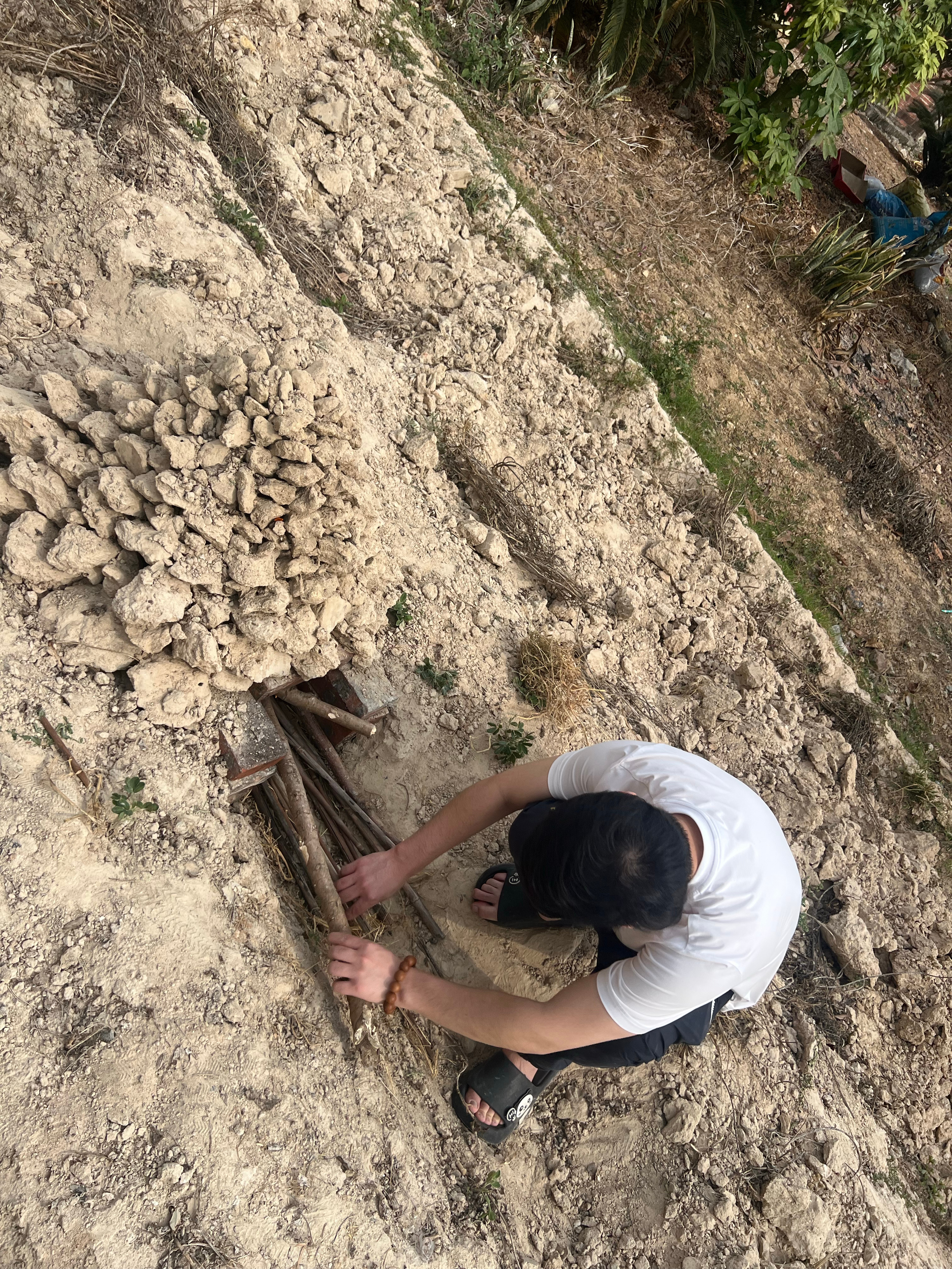 窑鸡～窑番薯～太好吃了，不够分下次要窑 8只鸡 新浪育儿健康年 好好过大年 回乡