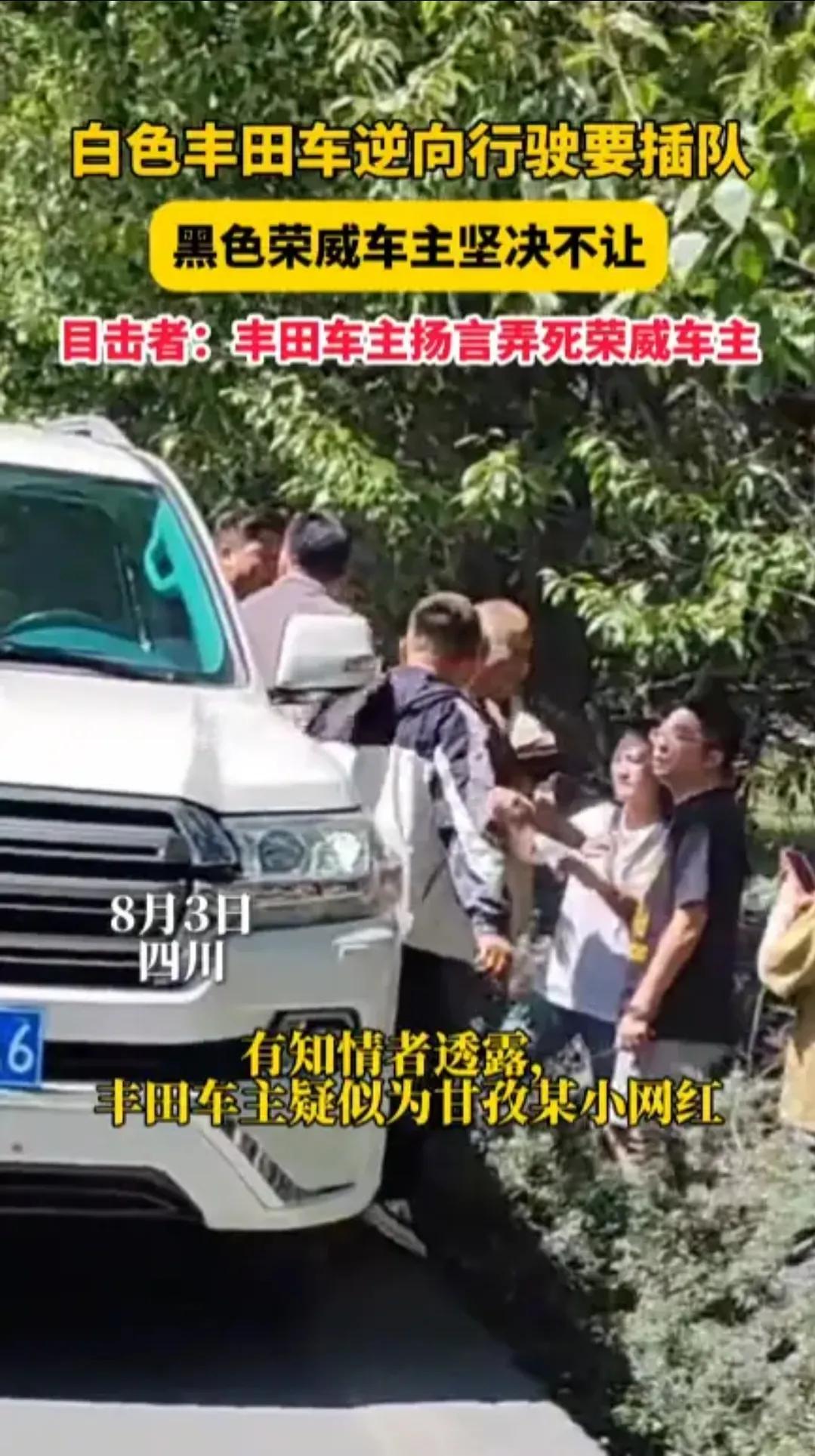 “严查到底！”四川，一辆国产车在路上正常行驶时，突然出现一辆大型日本越野车，车主