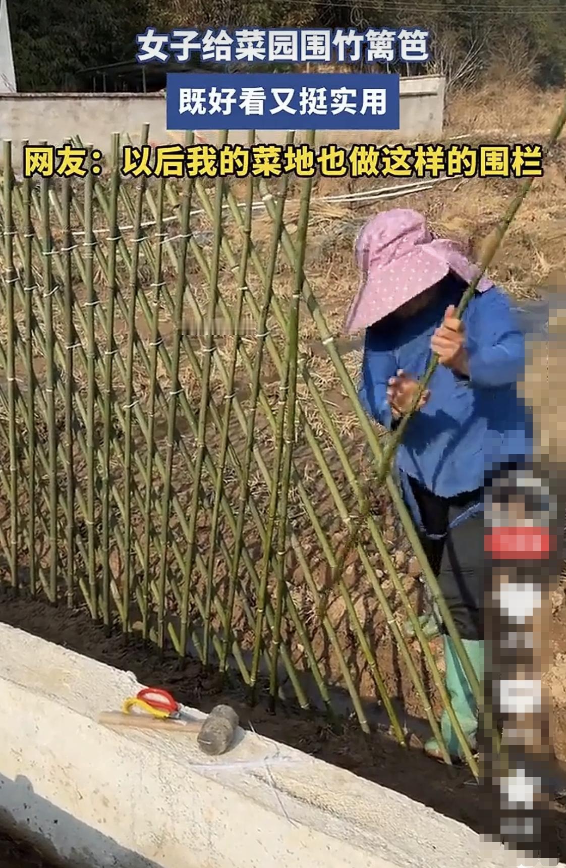 我想说竹篱笆呀牵牛花[捂脸]，
我也要菜地是这样的的竹子围起，
安全感满满，
又