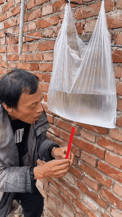 节约用水，用多少取多少，[黑脸]
