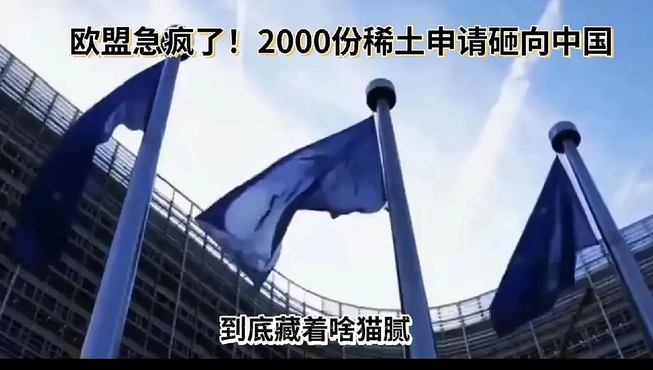 我国对稀土出口进行了管制，这让欧盟高宫焦虑了

在这个世界上本来是互通有无是对各