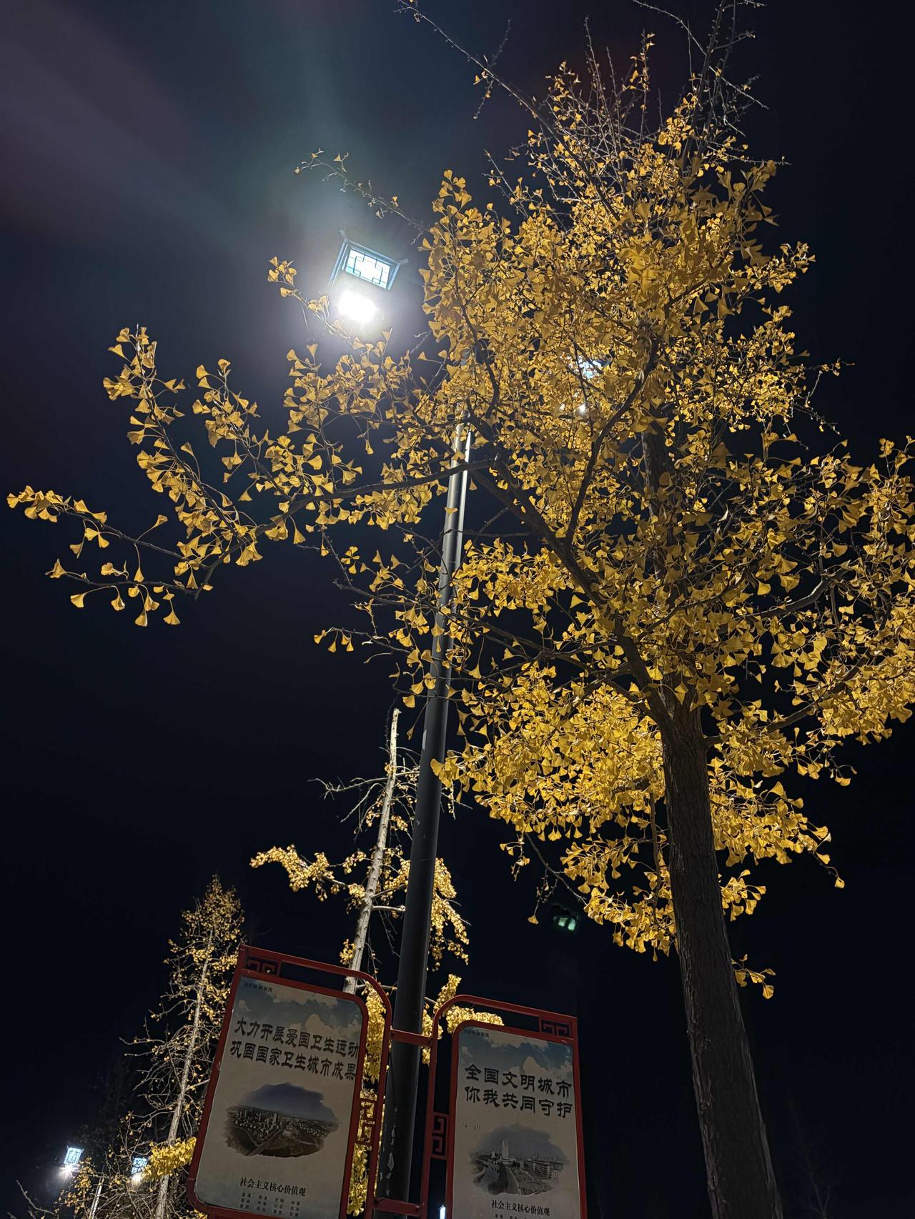 苹果手机17使用一个月！
有几点不吐不快！
1、手感确实太好了，6.3的屏幕不大