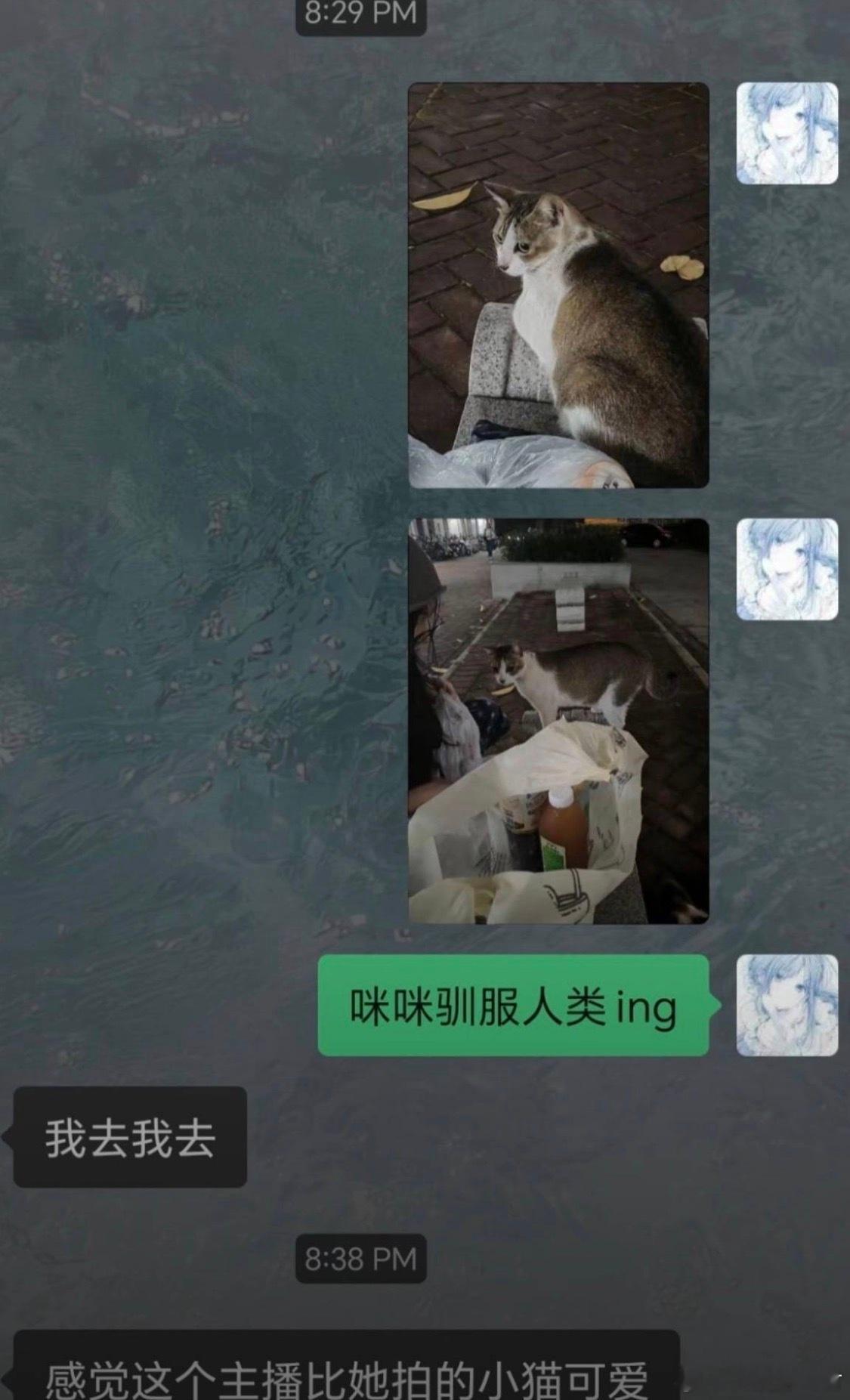 军师 你别偷偷跟你女朋友聊天了bro的想恋爱人格疯狂顶号中哈哈哈哈哈哈哈哈哈哈哈