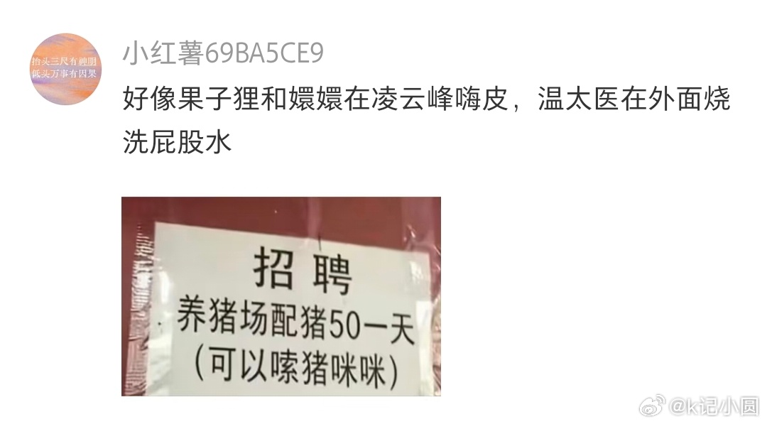 陈哲远吴谨言以为挡住了实际浇透了侍卫拼尽全力举着伞守护两位主子，奈何雨势太大于事
