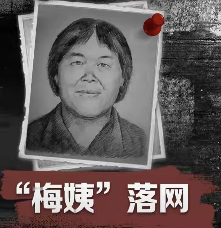 梅姨案新进展：检方起诉，名下无钱赔偿，未满75岁或面临死刑
9月8日，几位“梅姨