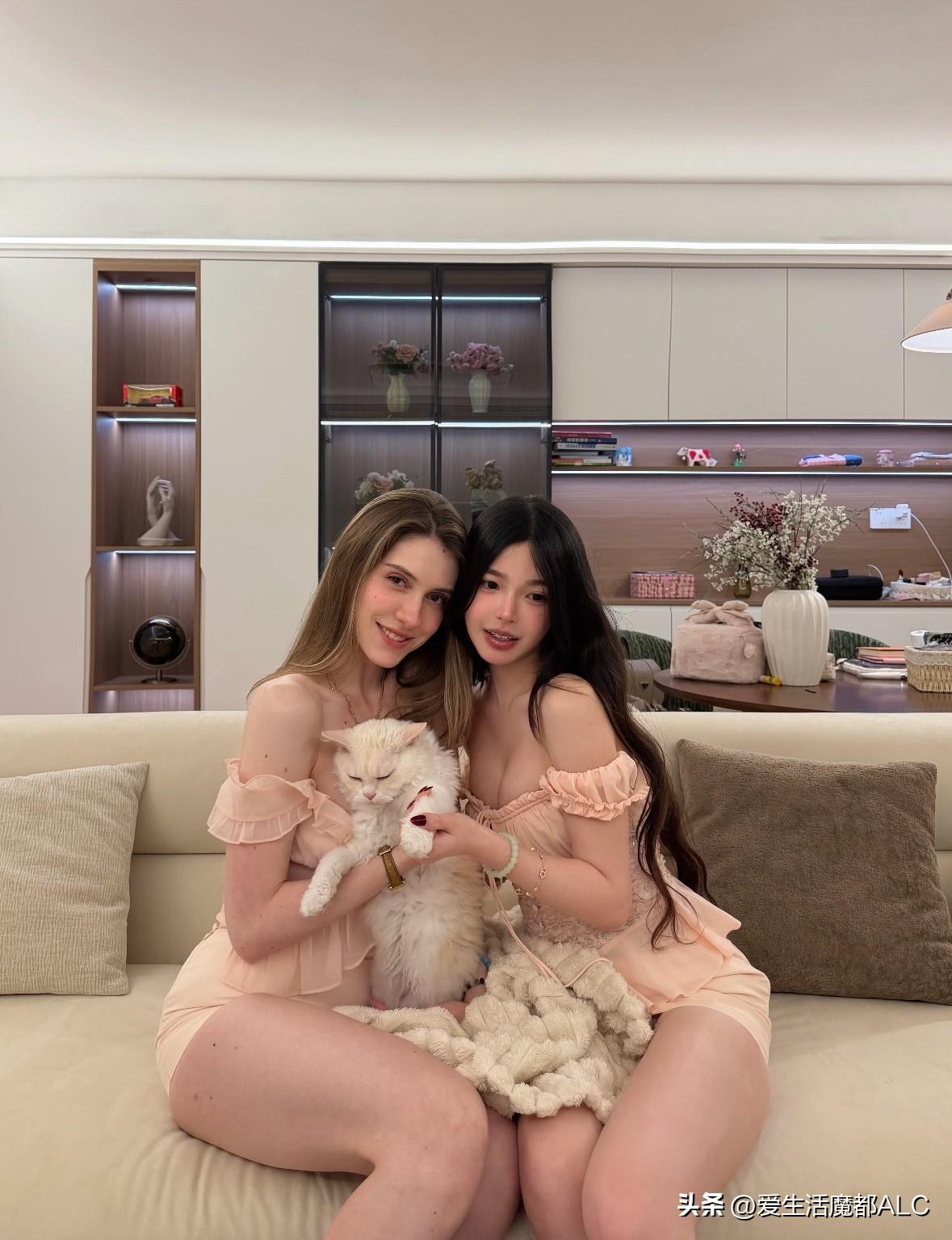 喜欢猫咪的可以三选一哦