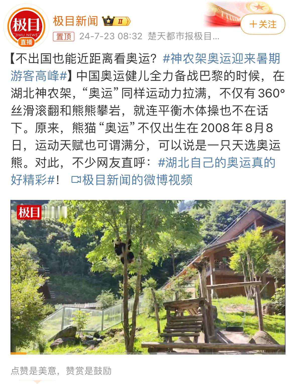#神农架奥运迎来暑期游客高峰#暑期+神农架+熊猫+奥运，热点和惹人喜爱的点都有了