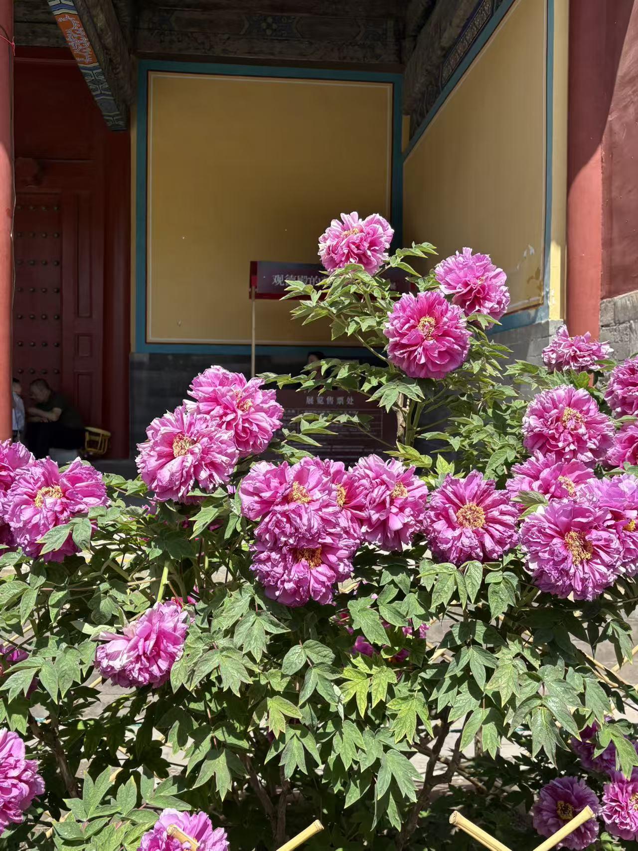 踏踏实实写自己身边和自己的事，真诚分享生活会感动很多普通人与你共鸣