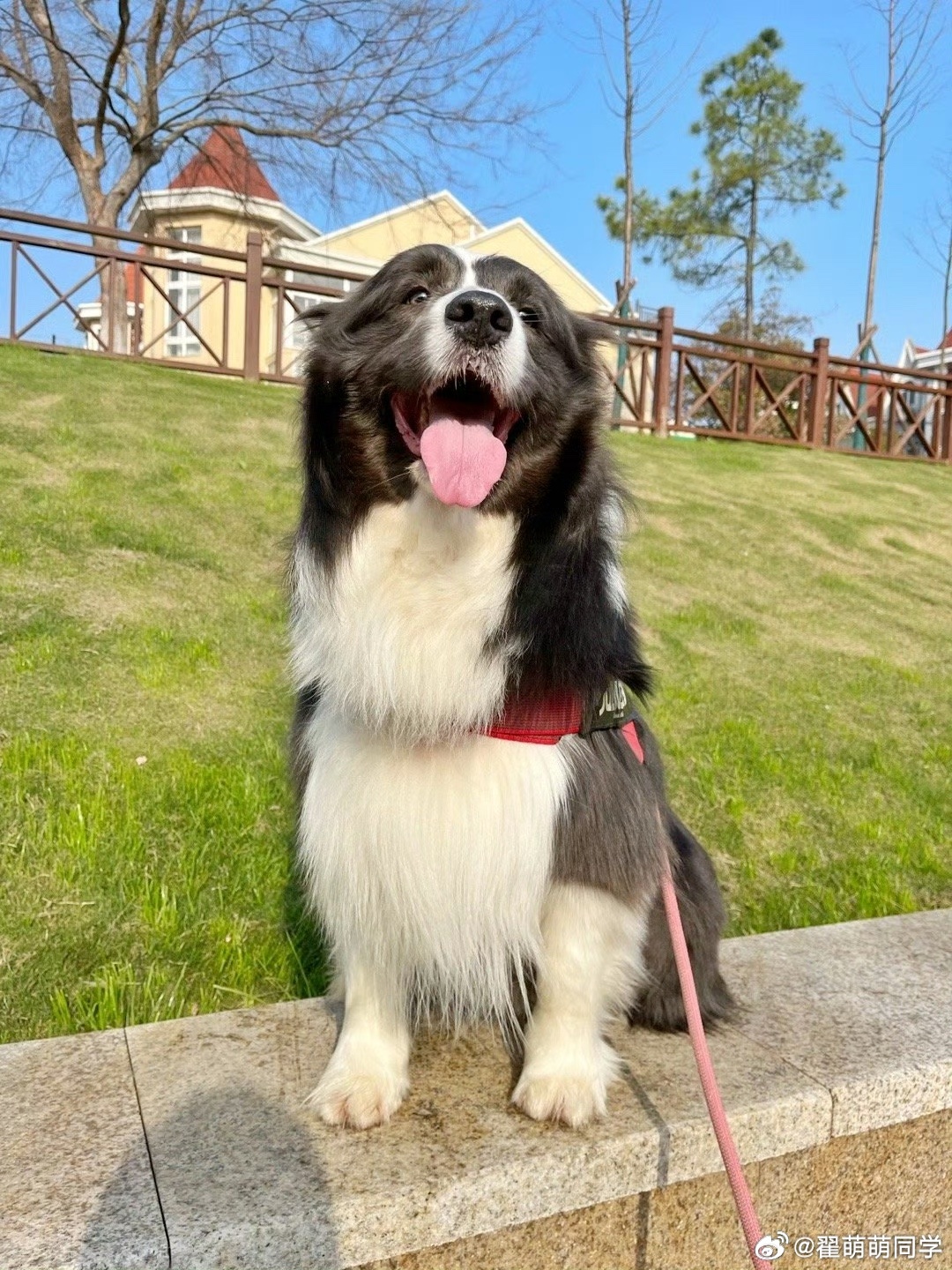 最近有人想去【云南】嘛，就逛逛菜场集市，吃吃东西，随缘刷刷花 南京