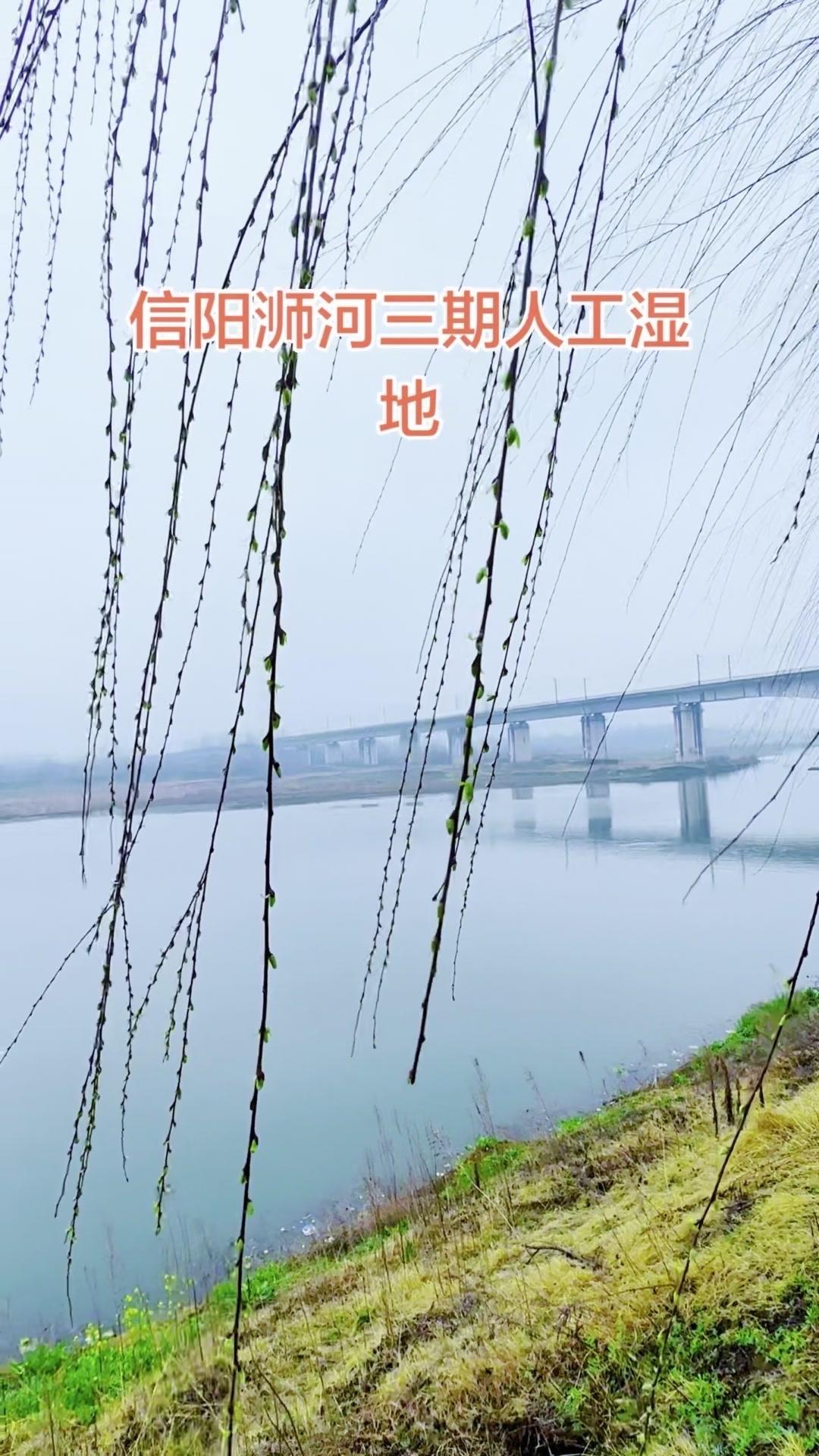 柳芽初绽，湿地含青。浉河岸边的风有了温度，景里满是诗意，人间向暖，万物皆可期。