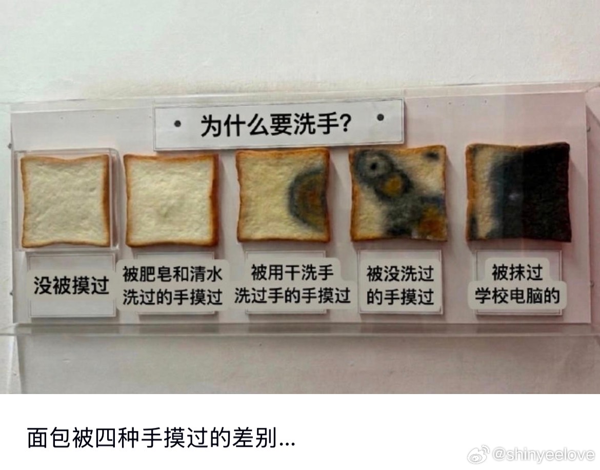 一张图告诉你为什么要洗手 