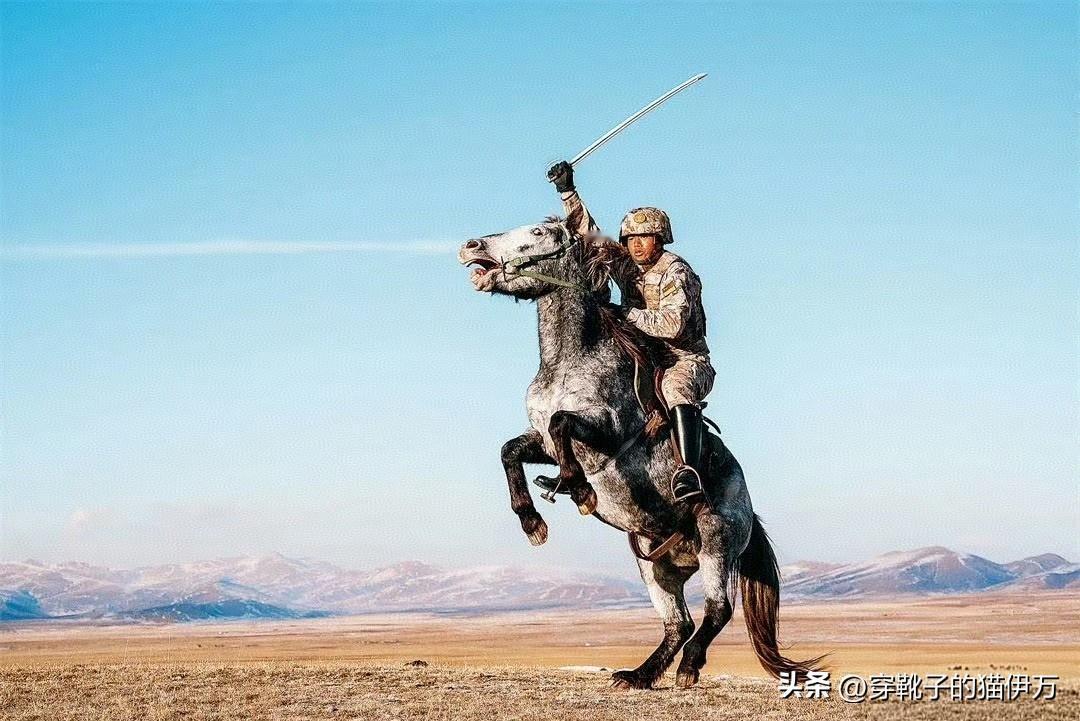 现在骑兵部队还装备 65式 骑兵刀，该刀是根据日本“三二式”骑兵刀仿制而成，产量