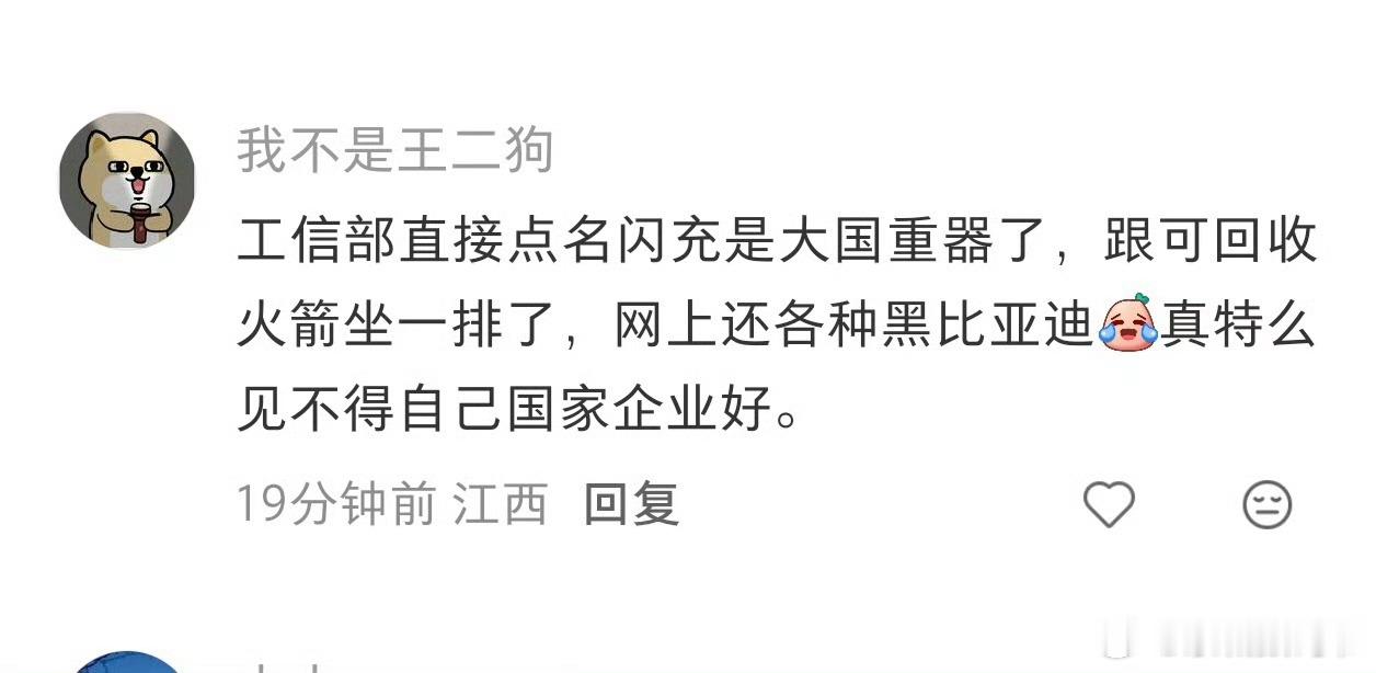 你做的再好，也总会有诋毁的声音，比亚迪绝对属于这个世界级别的王者！ 