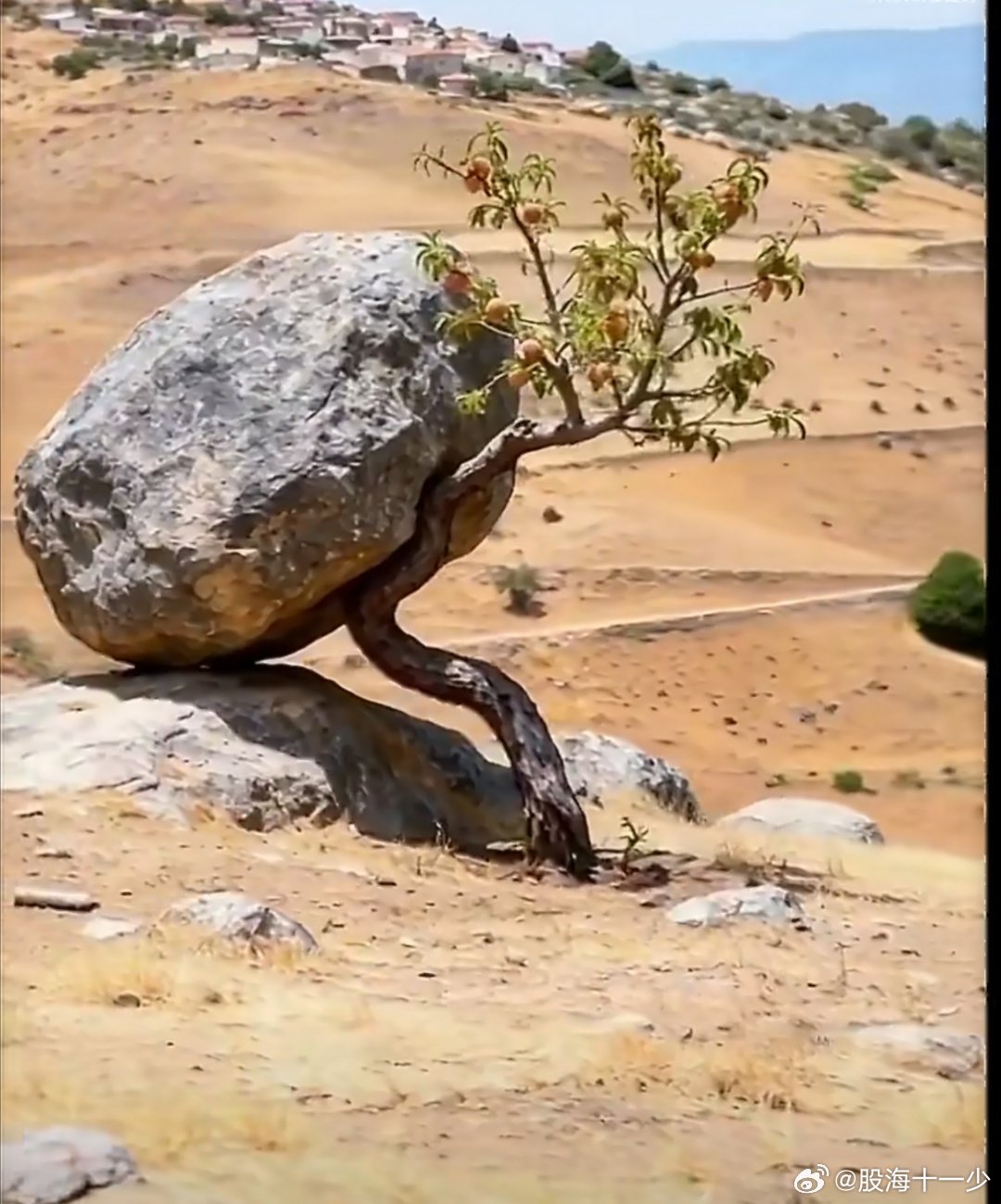 压力算个球，千万不要去提前控惧，也没必要去提前焦虑示弱。能解决你着啥急，不能解决