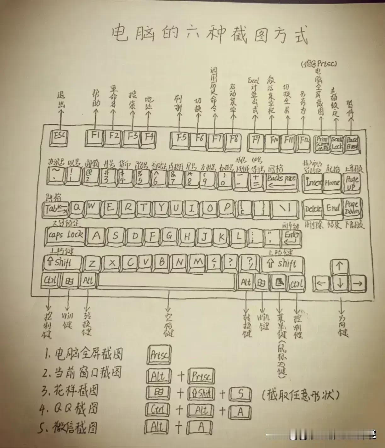 天呐，真的太厉害了！据说一位985计算机博士后肺腑直言：无论你的电脑基础有多么薄