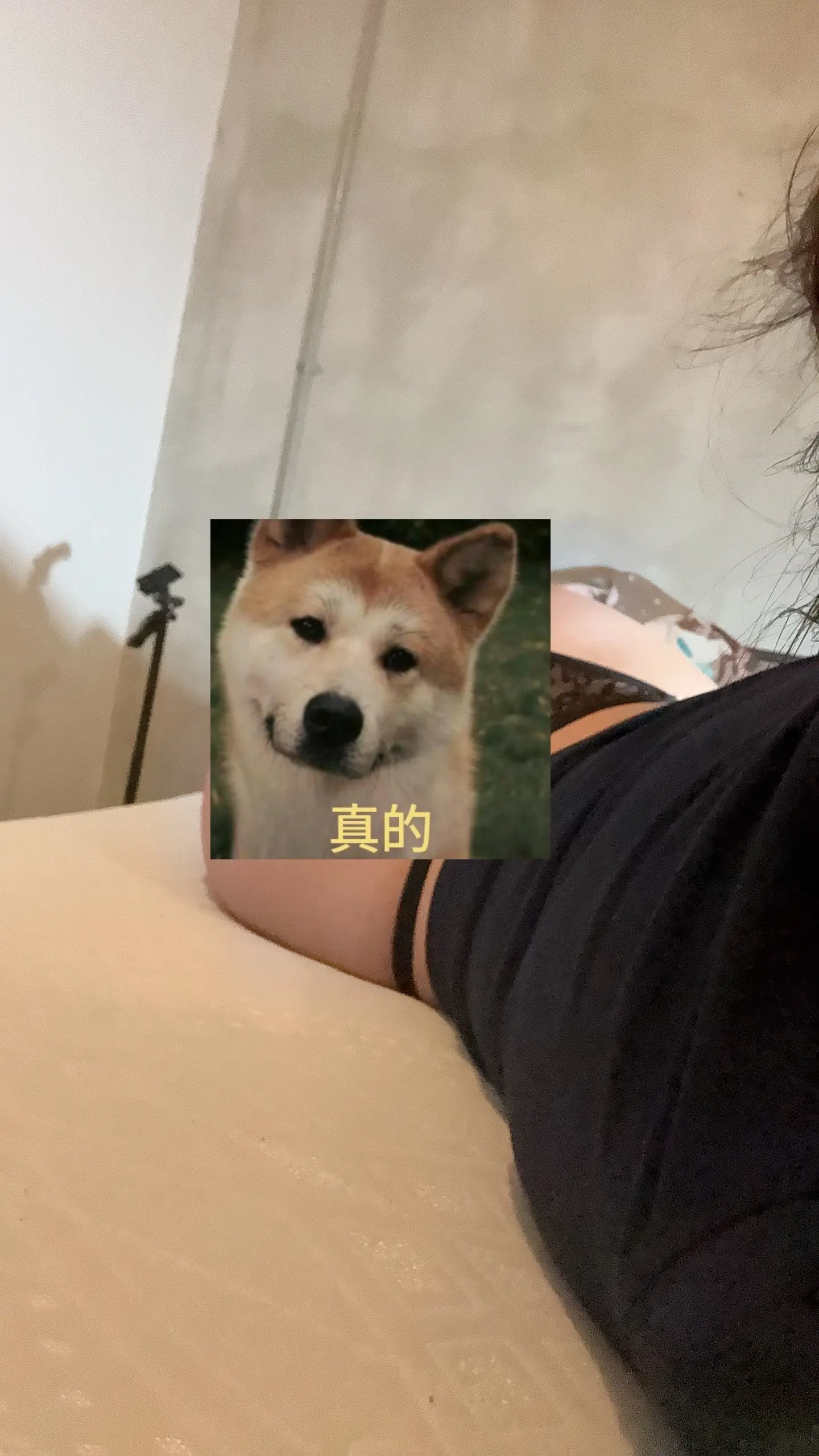 晚安。