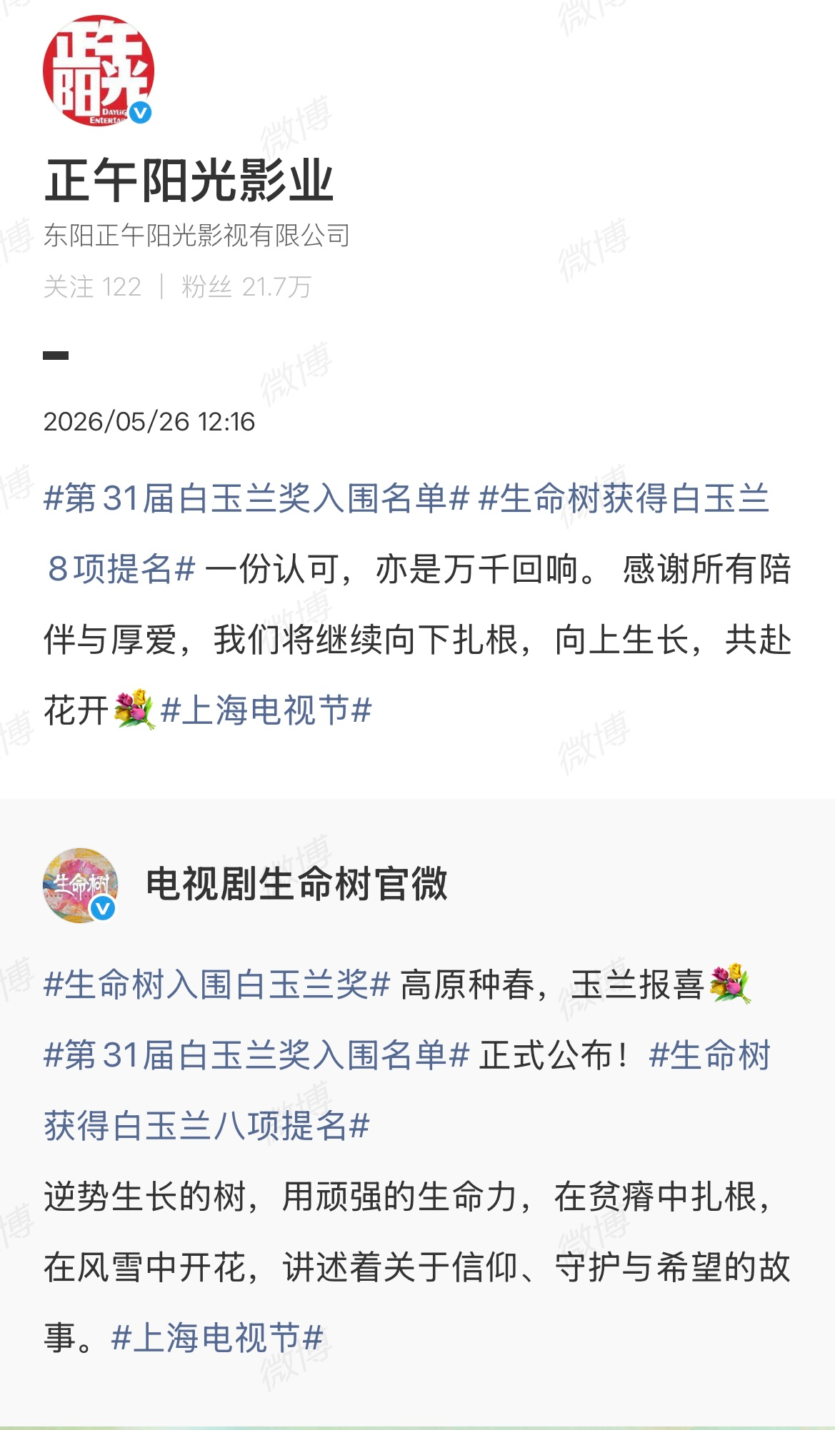 【正午阳光发文致谢】正午阳光回应生命树白玉兰提名5月26日，第31届白玉兰奖入围