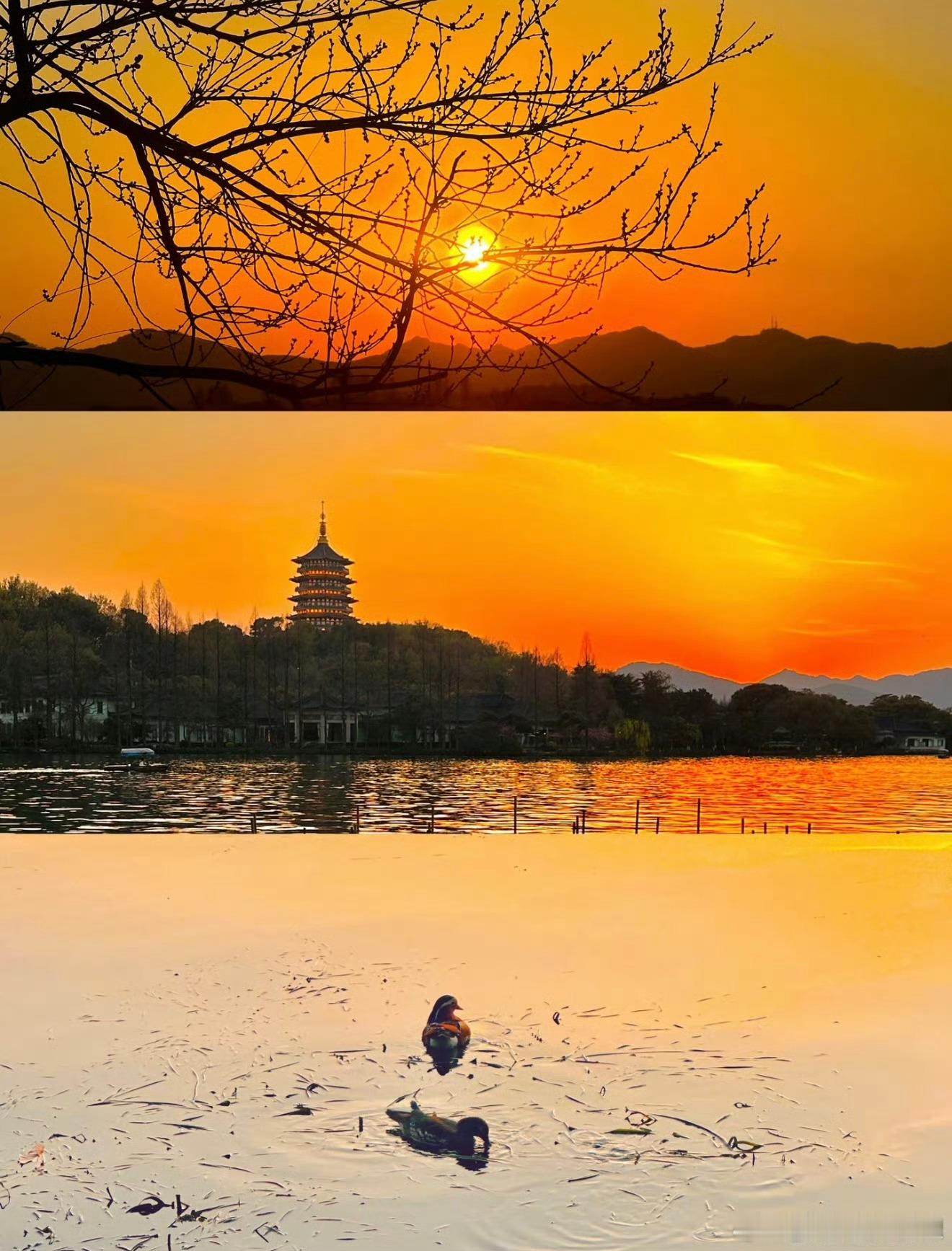 在杭州解锁新年第一抹金 解锁杭州新年第一抹金！淡妆浓抹皆相宜的老城，新年底色满覆