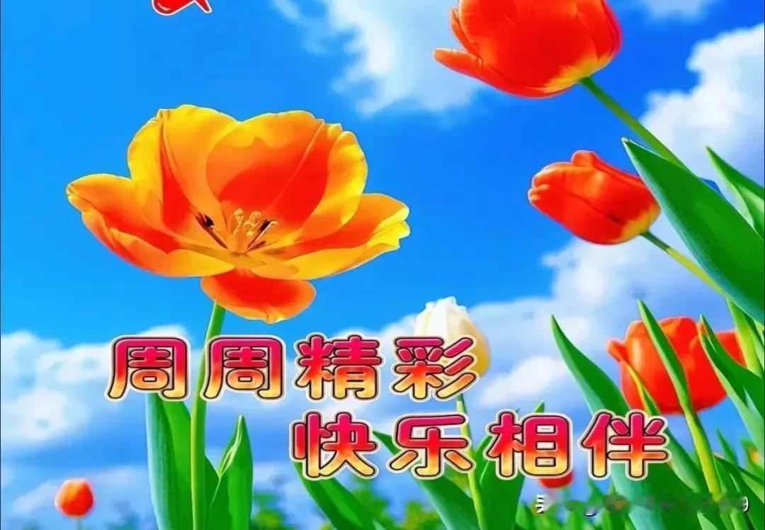 下午好友！周三快乐！
佳作精彩！文采斐然！
写的真好！才华横溢！
[赞][赞][