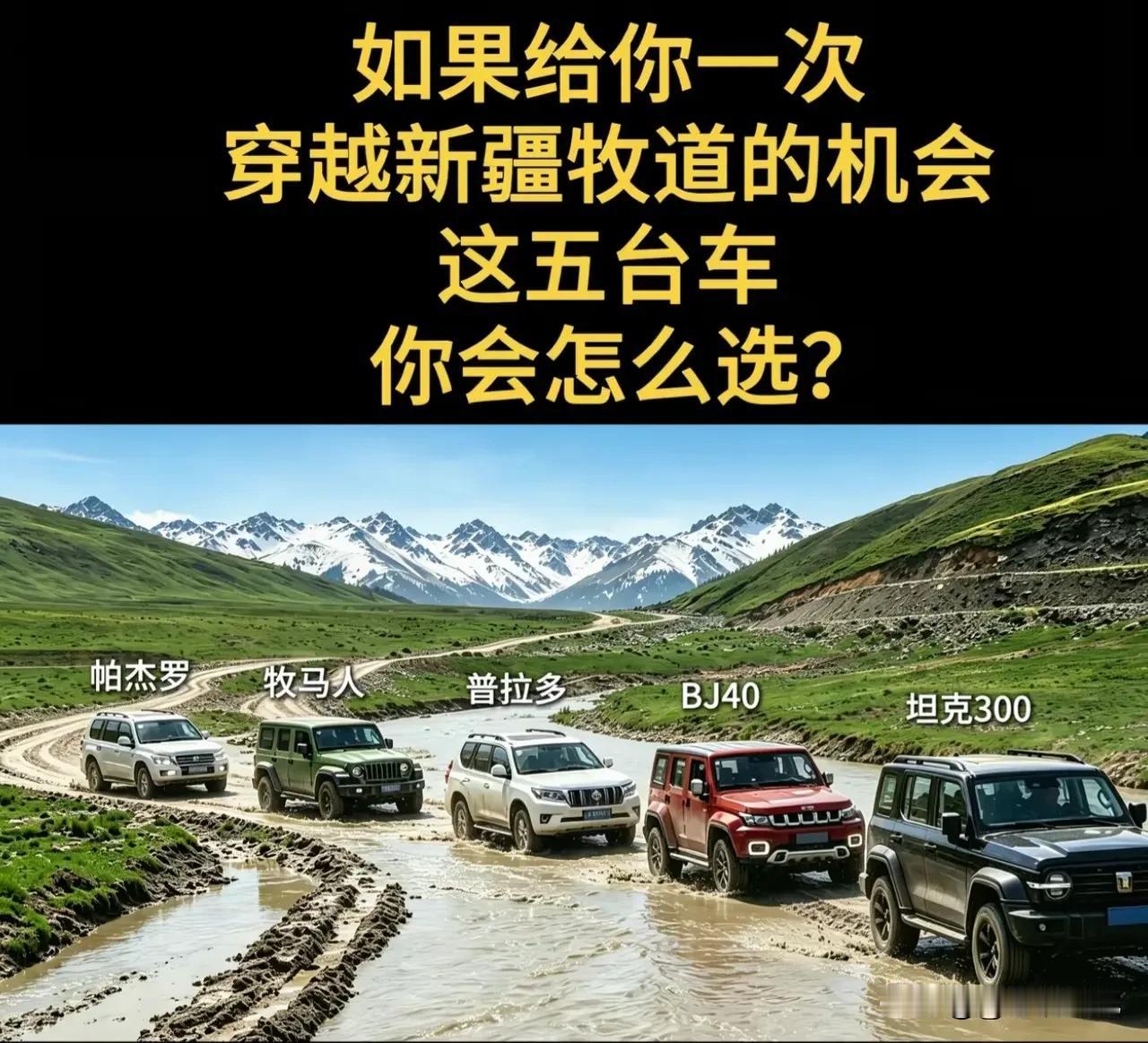 男同胞们，你们会选哪辆车？实话实说！