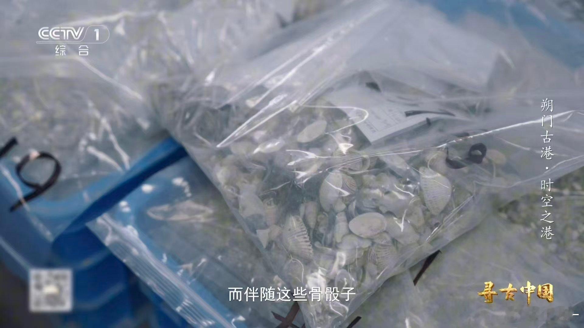 古人也吃雪蛤温州一千多年前就流行嗦螺了 没想到吧？嗦螺是千年传承！温州朔门古港遗