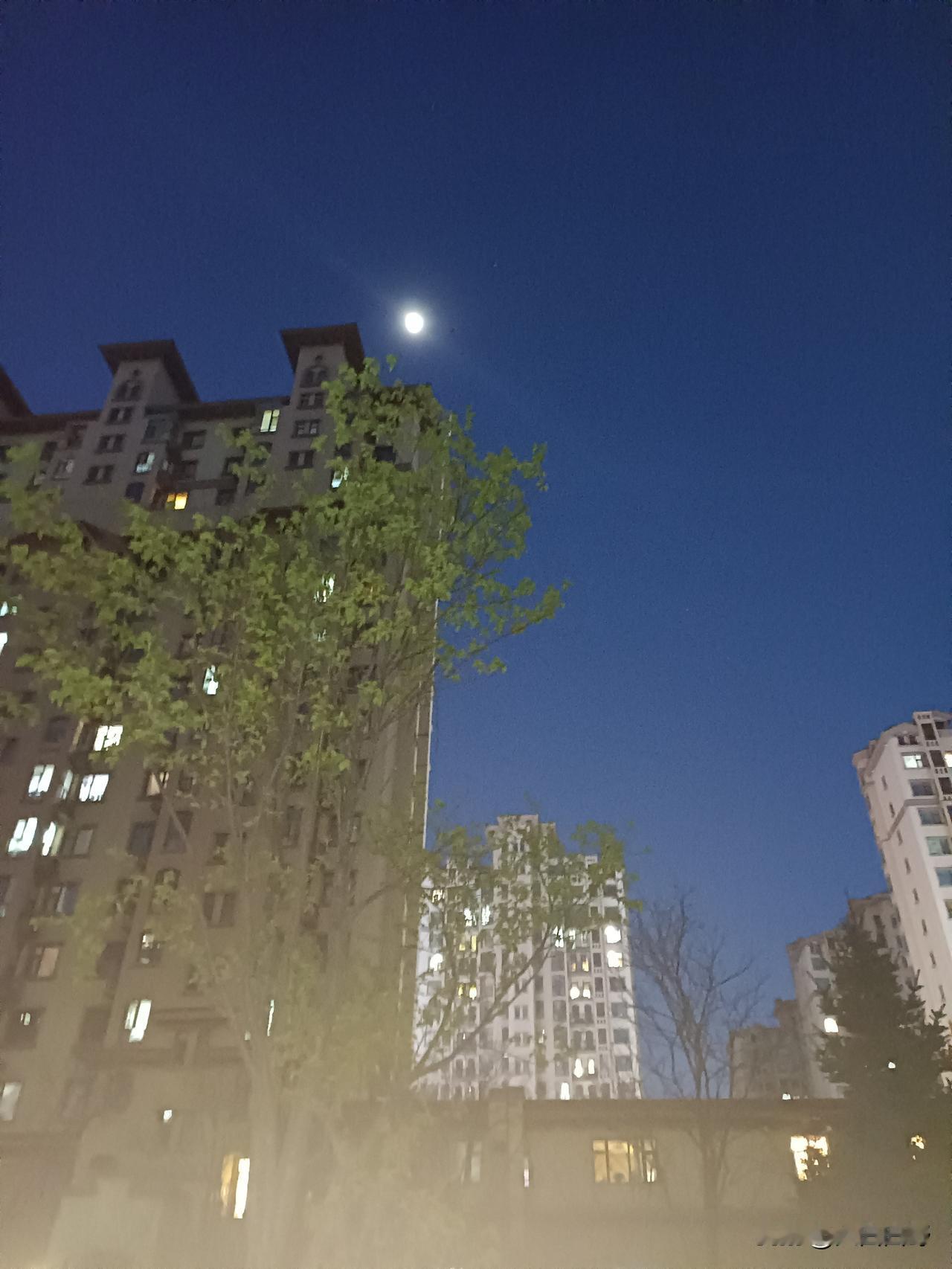 生活有时并不都是一片阳光
最近从一些媒体获悉，心中产生一些微澜，感觉生活有时并不