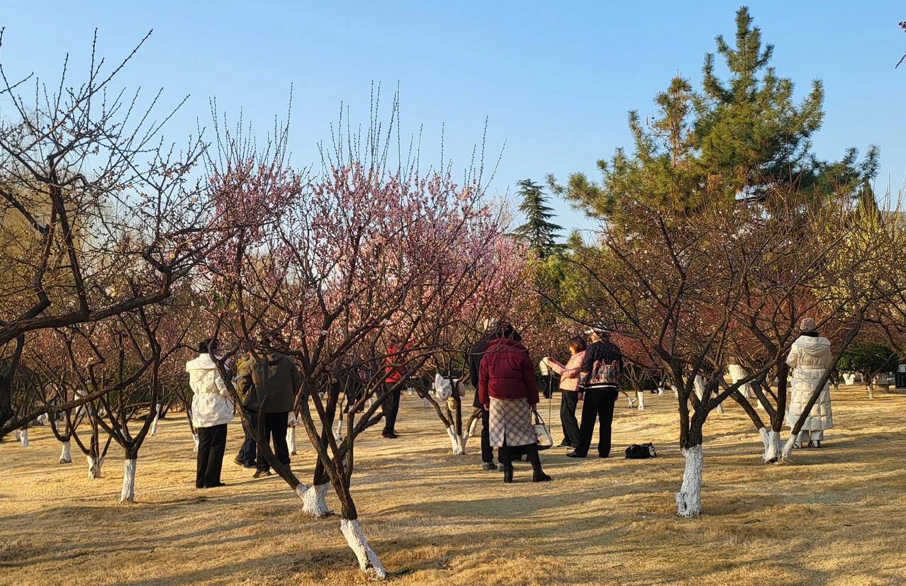 有时人太善良,你能说是好还是坏?

经常有人提到：人太善良，到底是好是坏？其实：