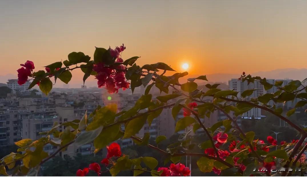 我很喜欢我现在的家的地方位置，我家阳台每天可以看到美美的夕阳，晚霞，我家住在福州