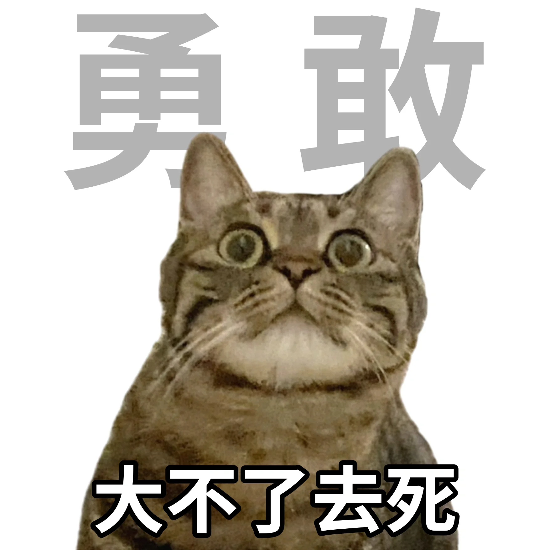 当代年轻人九大美好品德[咖啡] #v笑年度大赏# ​​​