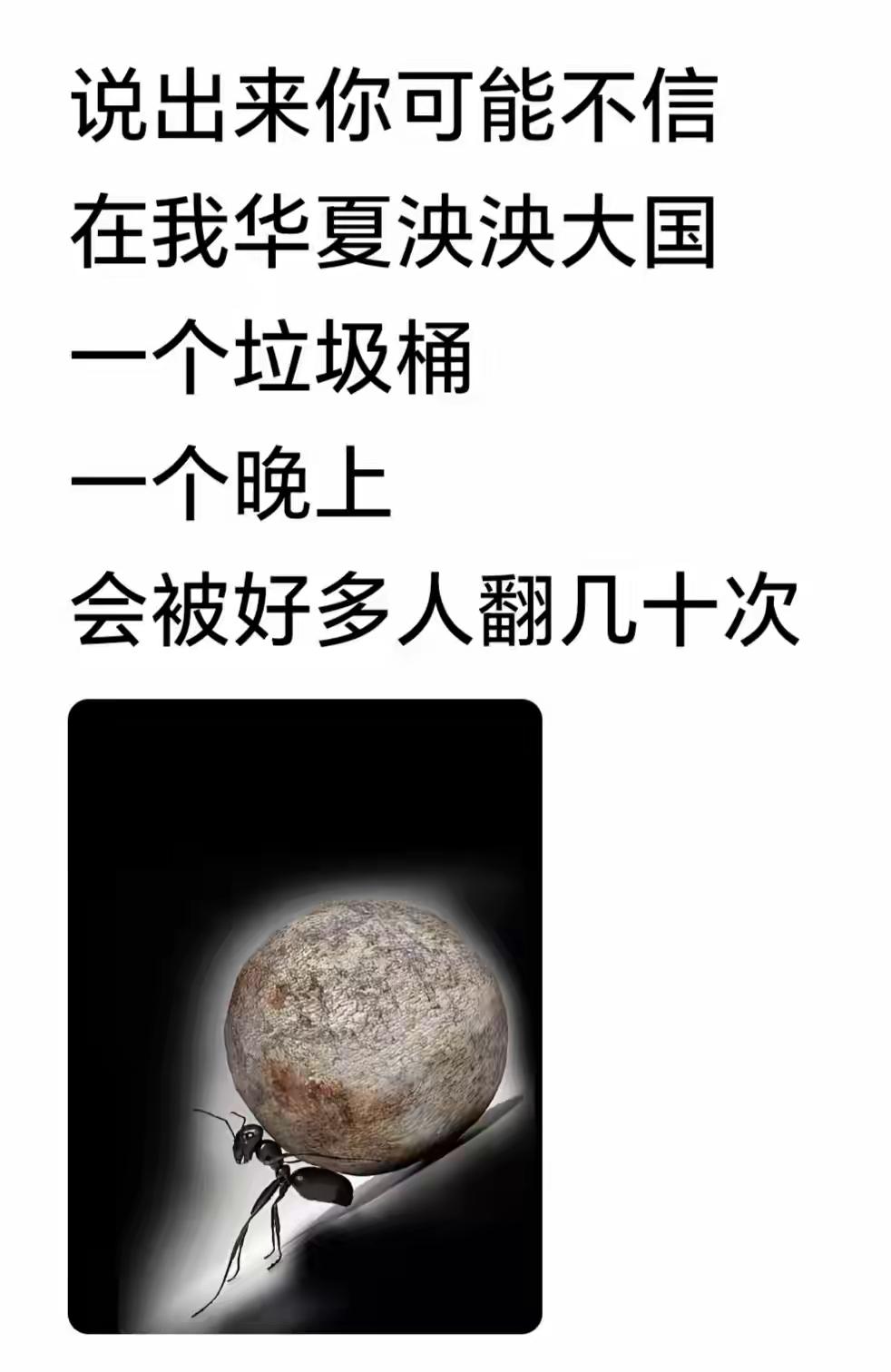 我信，因为我们小区的垃圾桶就是这样一天被翻好多次。