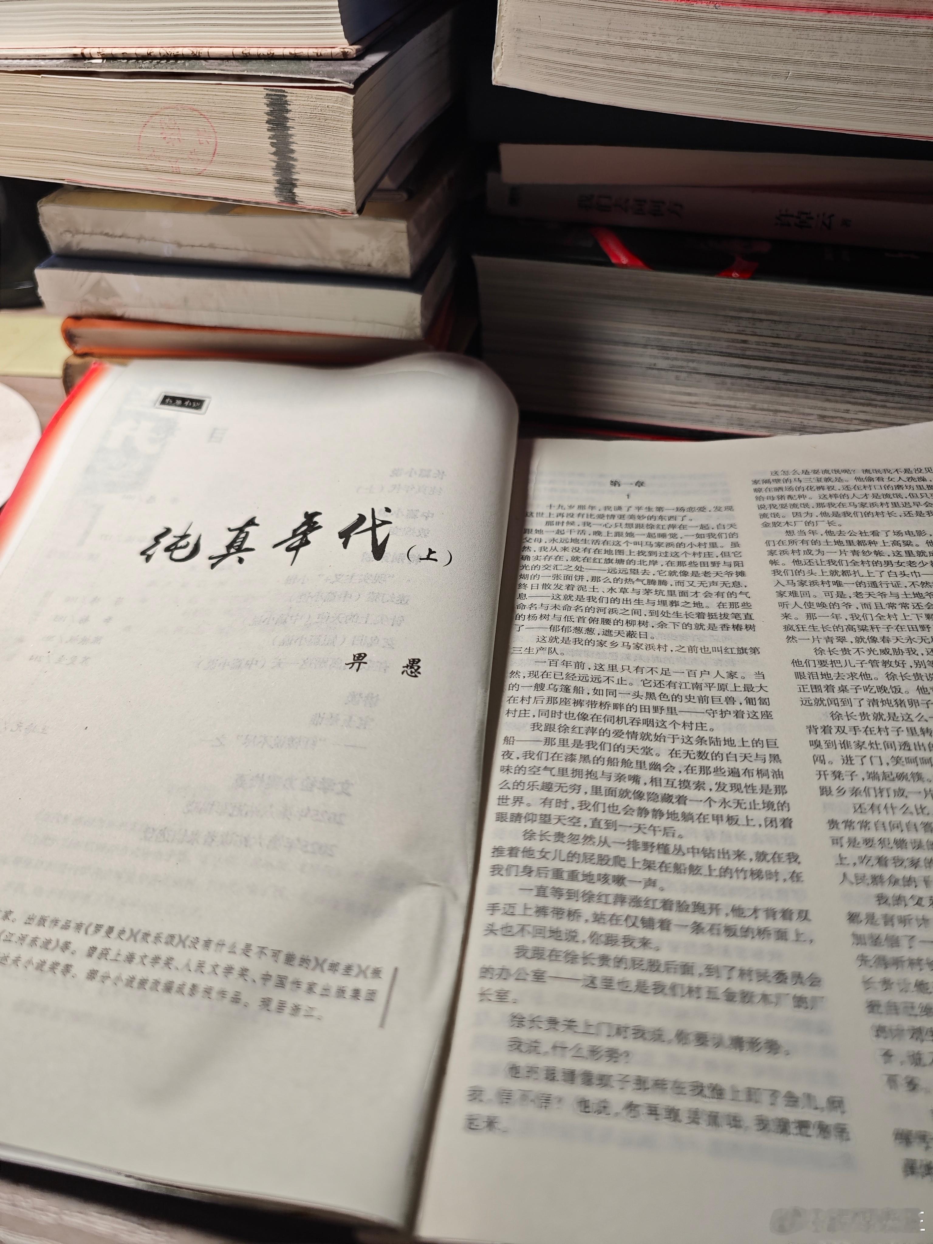 “是老天爷摊煳的一张面饼，那么的热气腾腾，而又无声无息”——这样的句子，让我想起