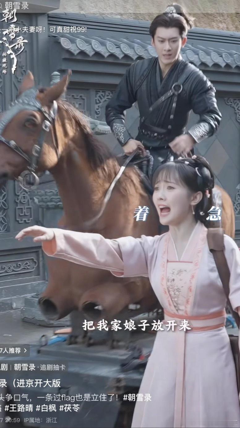 朝雪录里的马是假马？哈哈哈哈哈哈我晕 ​​​