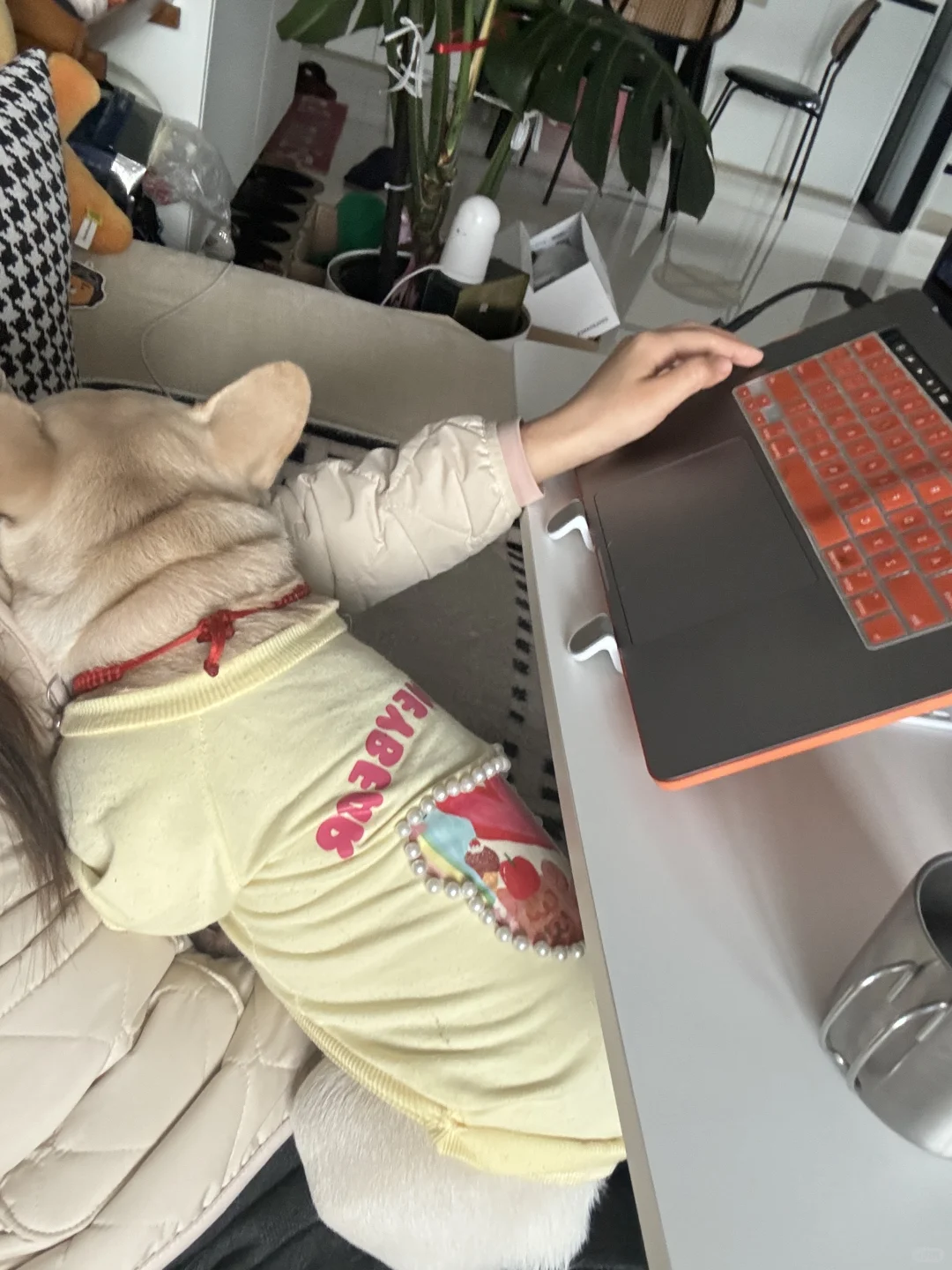 每日live｜谁羡慕了我不说😎